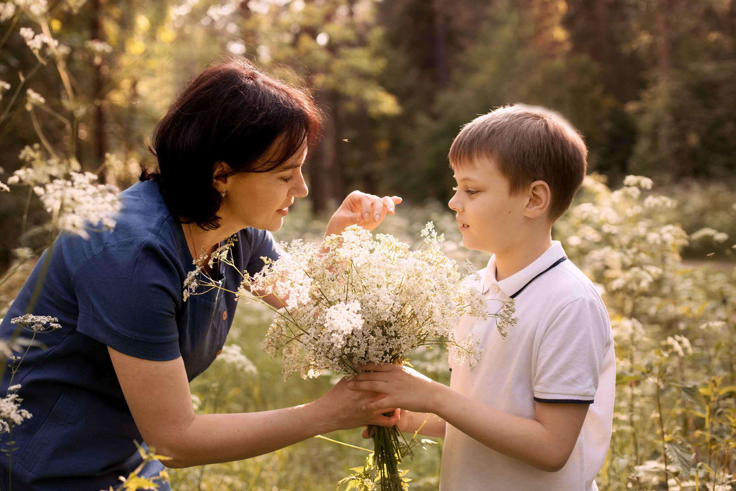 Мама и сын рассматривают белые полевые цветы в контровом свете