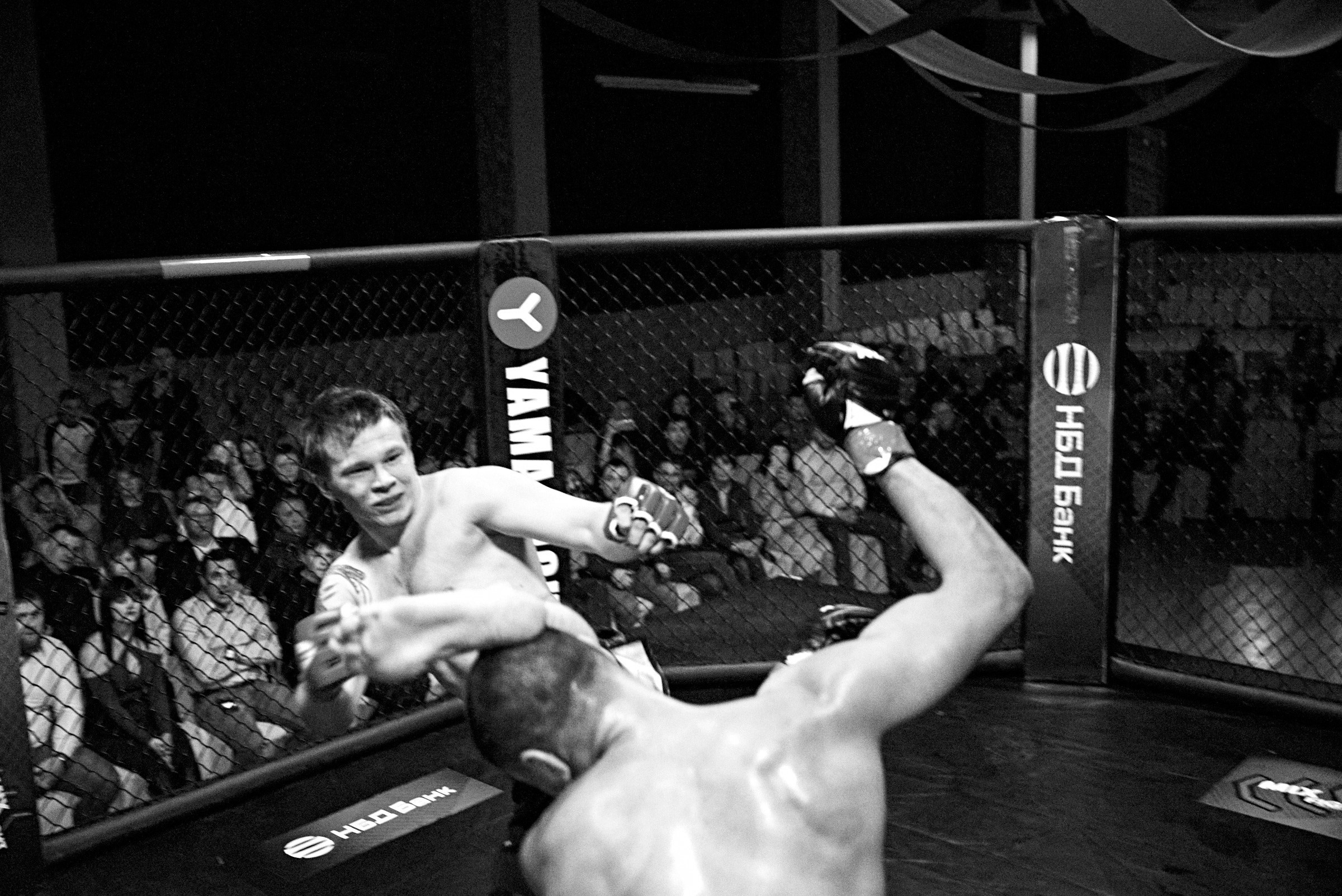 Бои. Маляревич Дмитрий свадебный фотограф