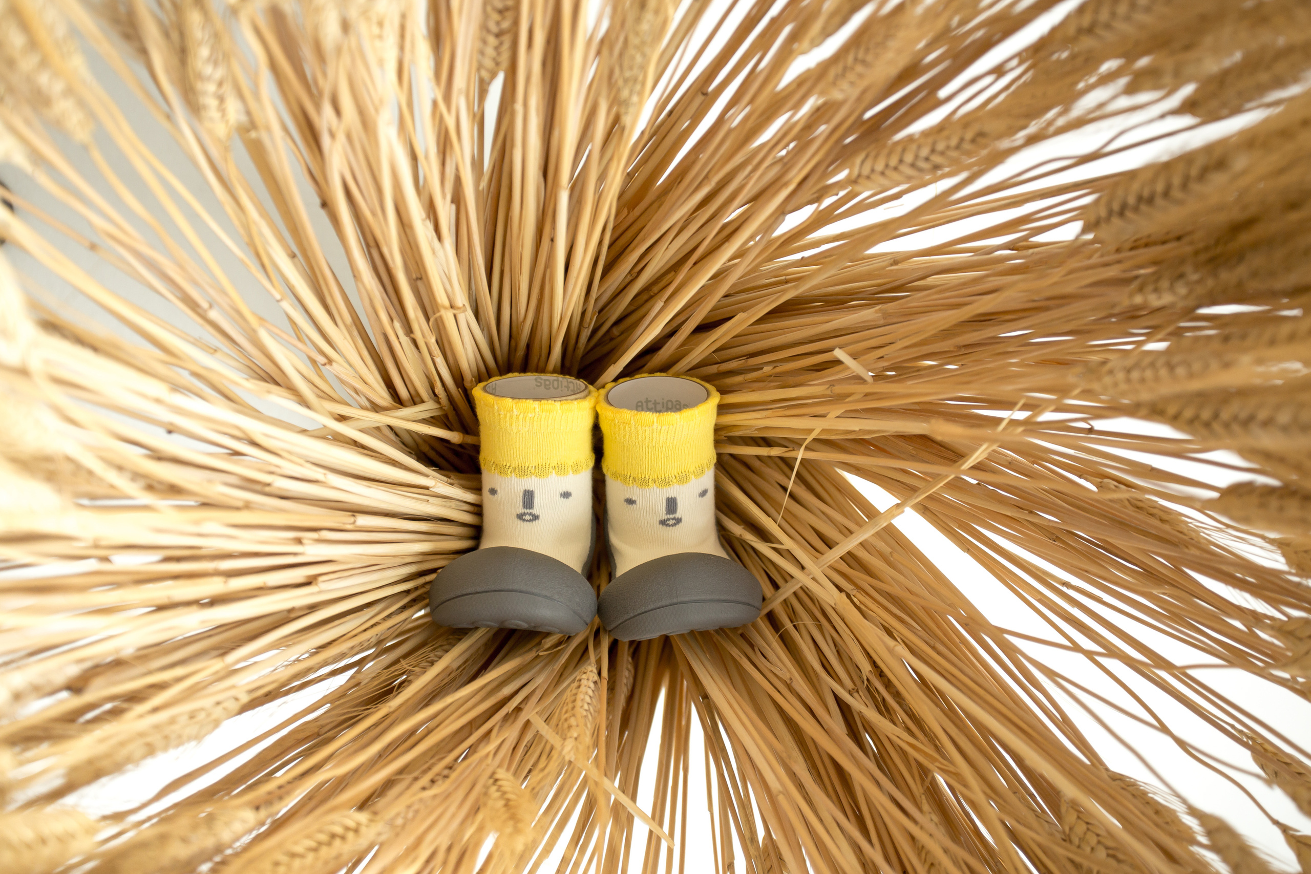 Attipas Russia. Рекламный фотограф в Москве Катерина Смирнова