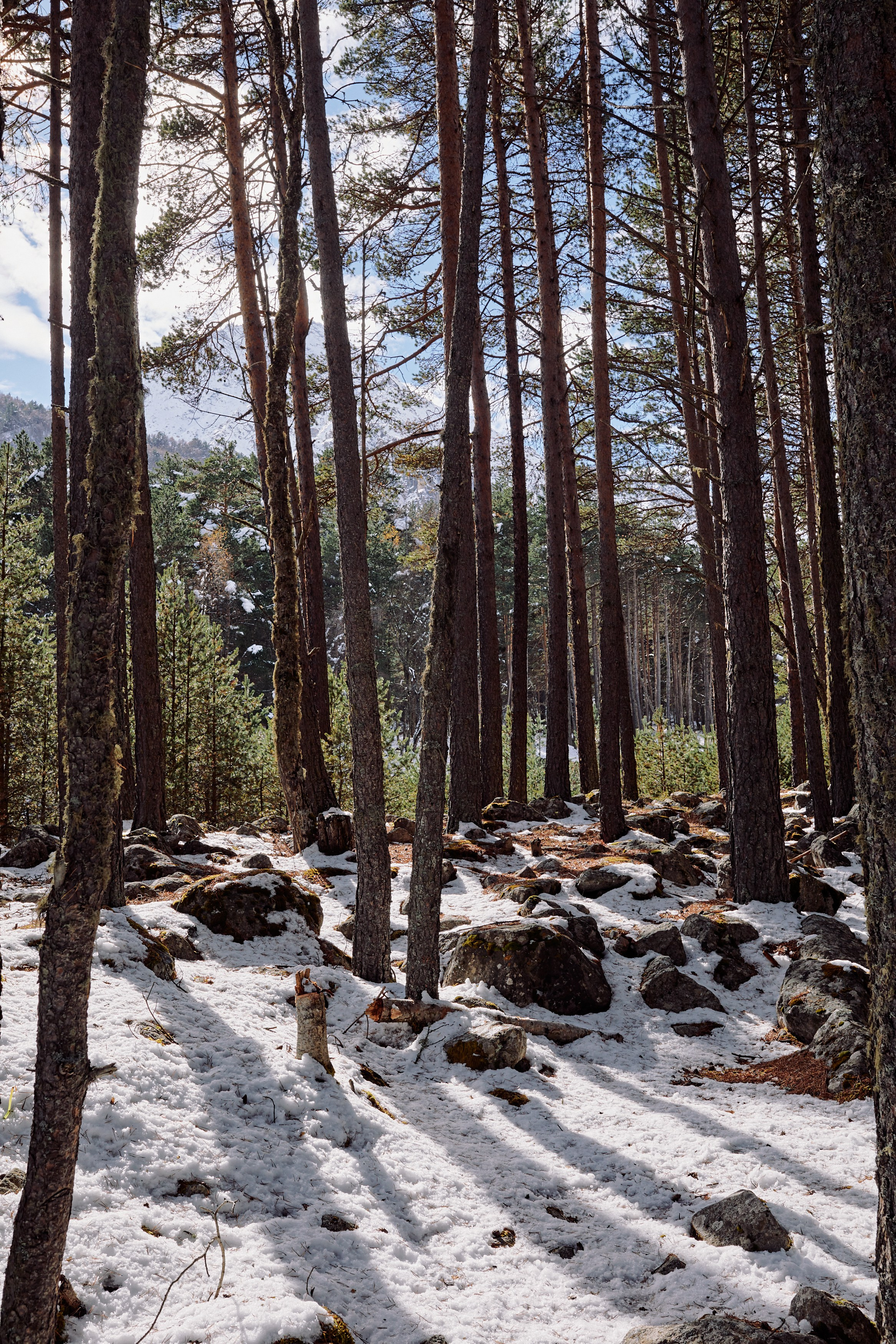 Башиль. Фотограф Продюсер в горах КБР / Москва  Нальчик Горы
