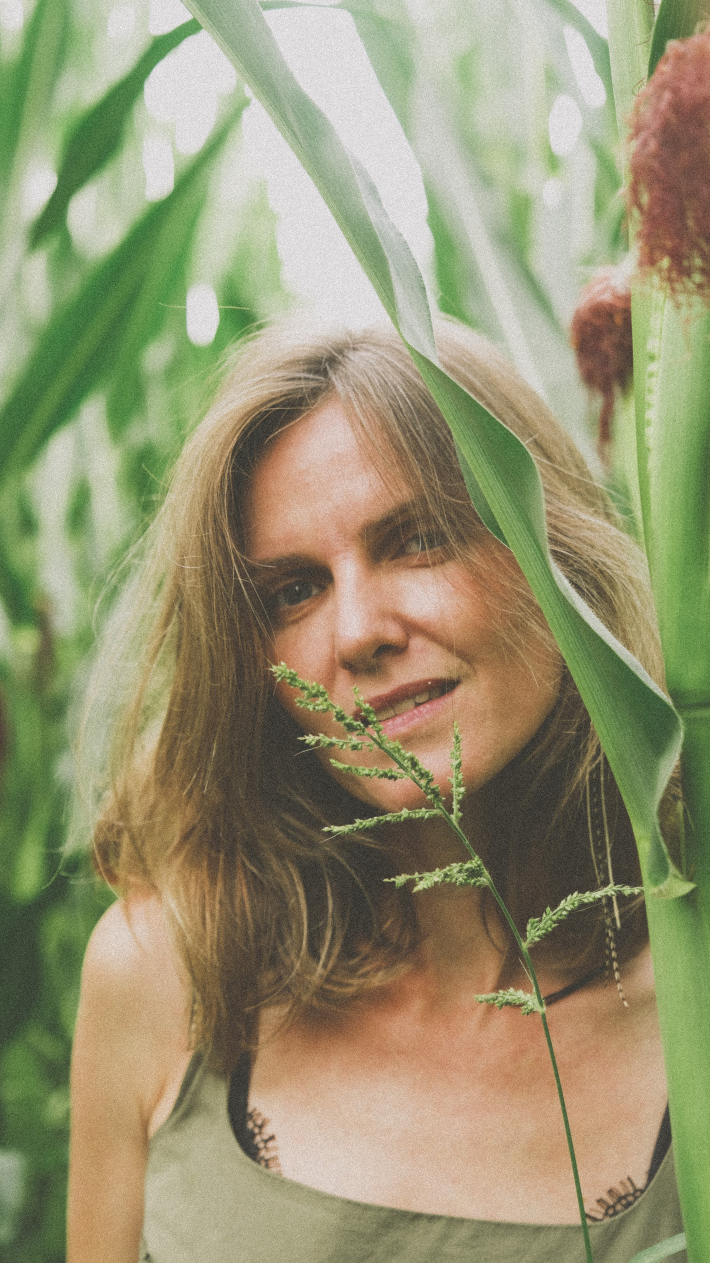 В кукурузном поле. Семейный фотограф Москва и Домодедово Ольга Игнатова