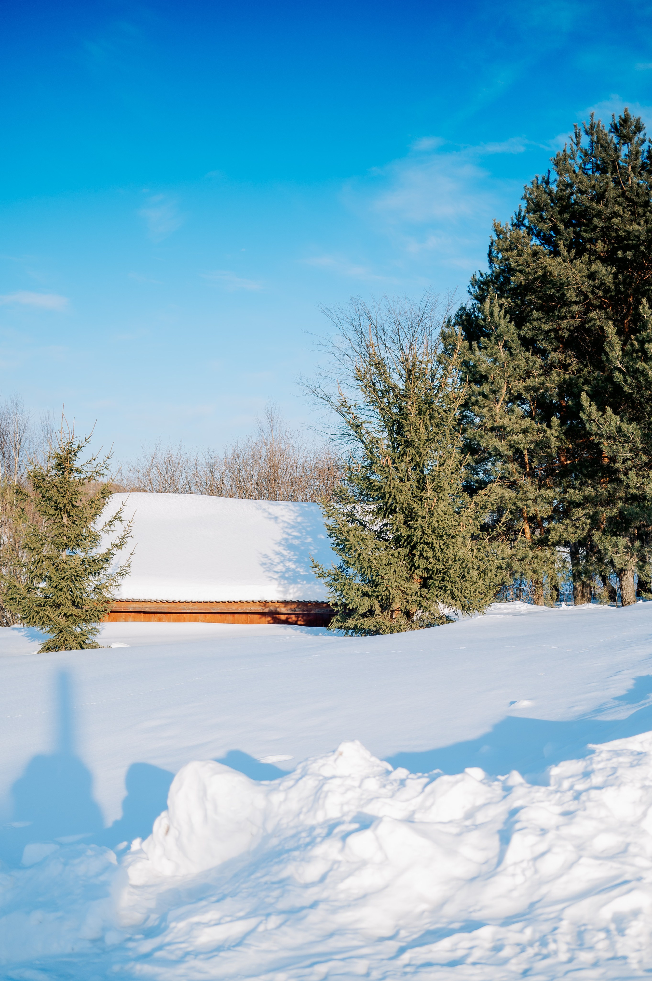 База отдыха «Заимка», Чувашия, февраль 2024. Фотограф Александр Золотых