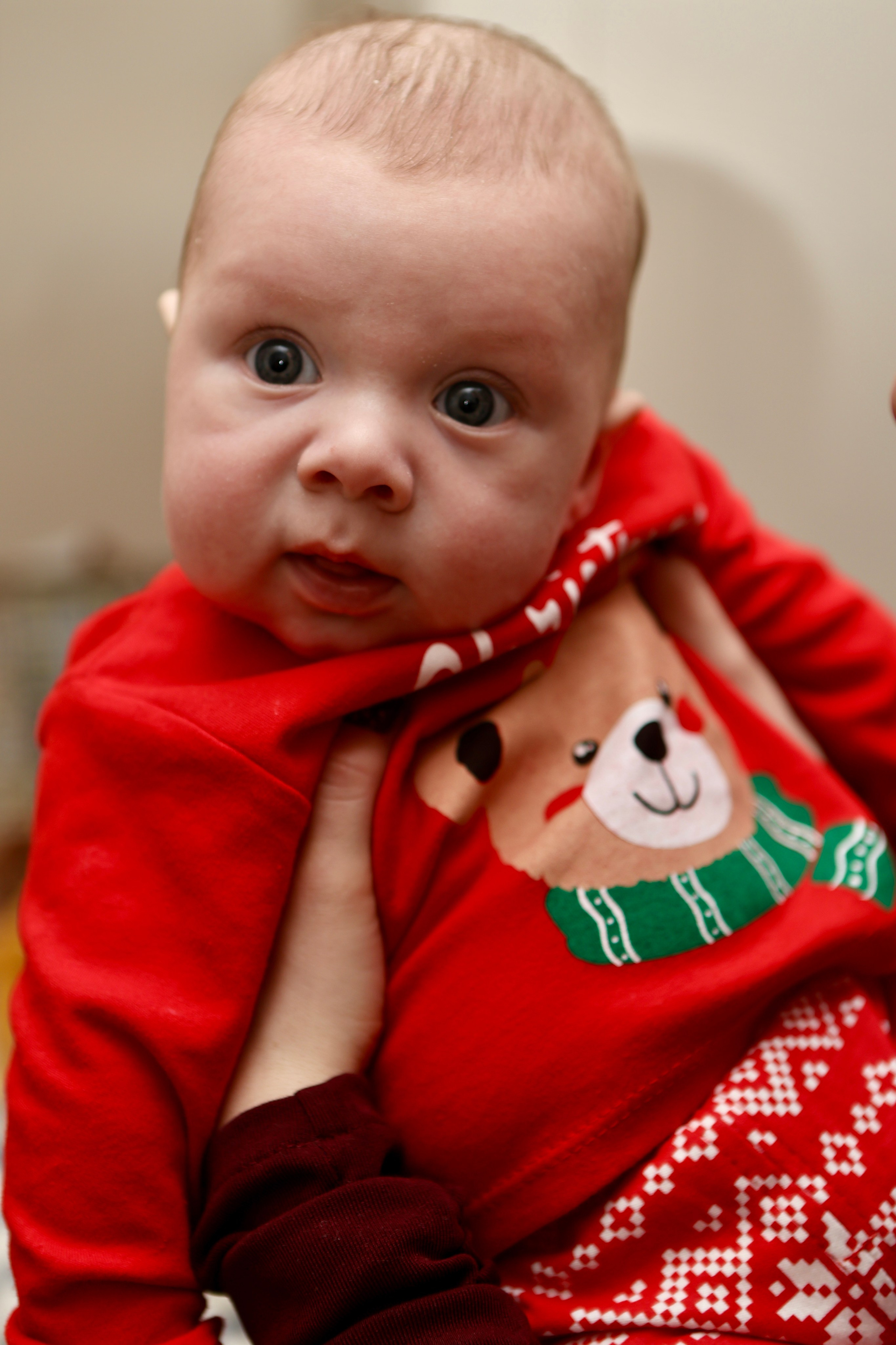 Яна Максим и Миша. Фотограф в Курске Смирнов Евгений