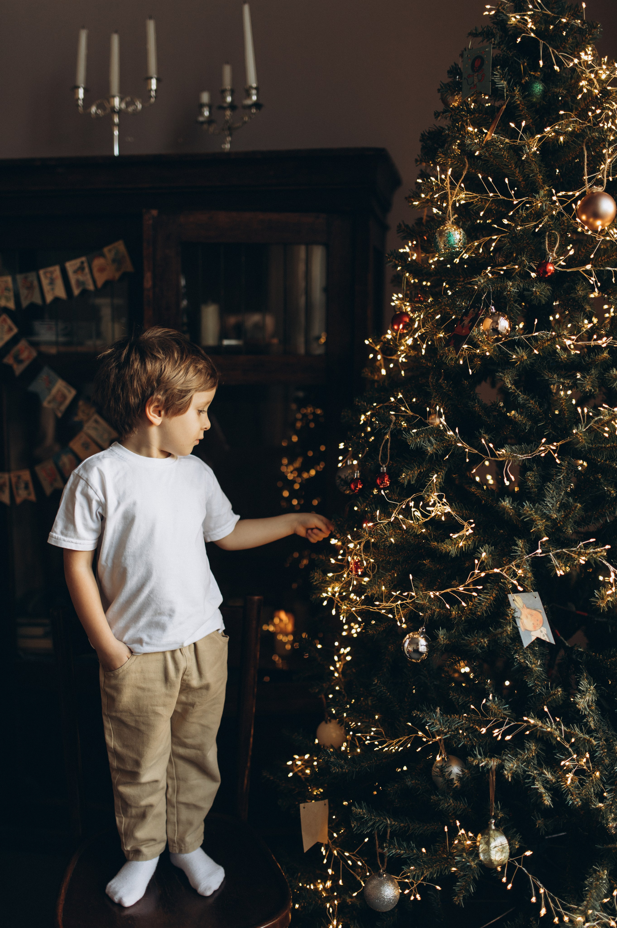 Новогодняя история в  Санкт-Петербурге. Алла, Эмилия, Дея и Давид. Услуги