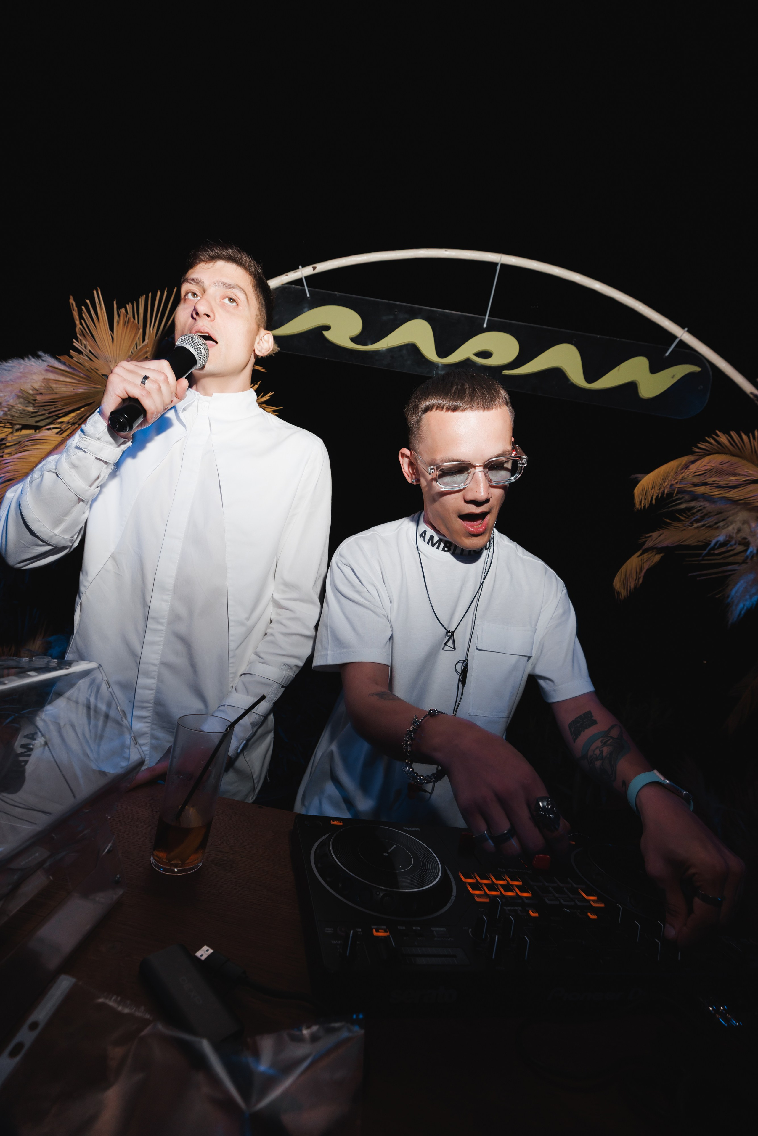 31.05.2025 TROPICAL DISCO BIRTHDAY PARTY. ProVizArt