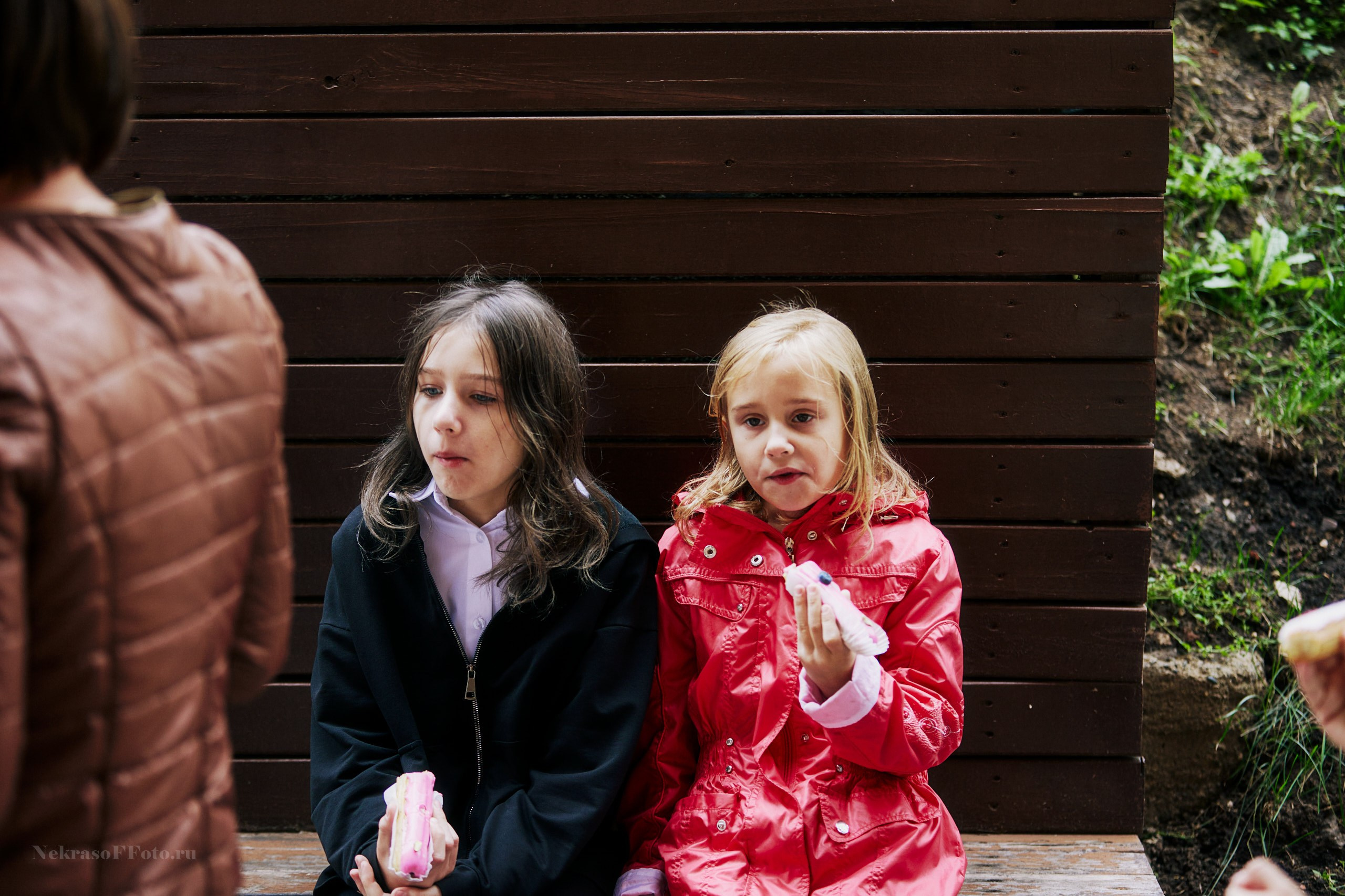 Свадьба Екатерины и Геннадия. Спортивный фотограф Некрасов Денис