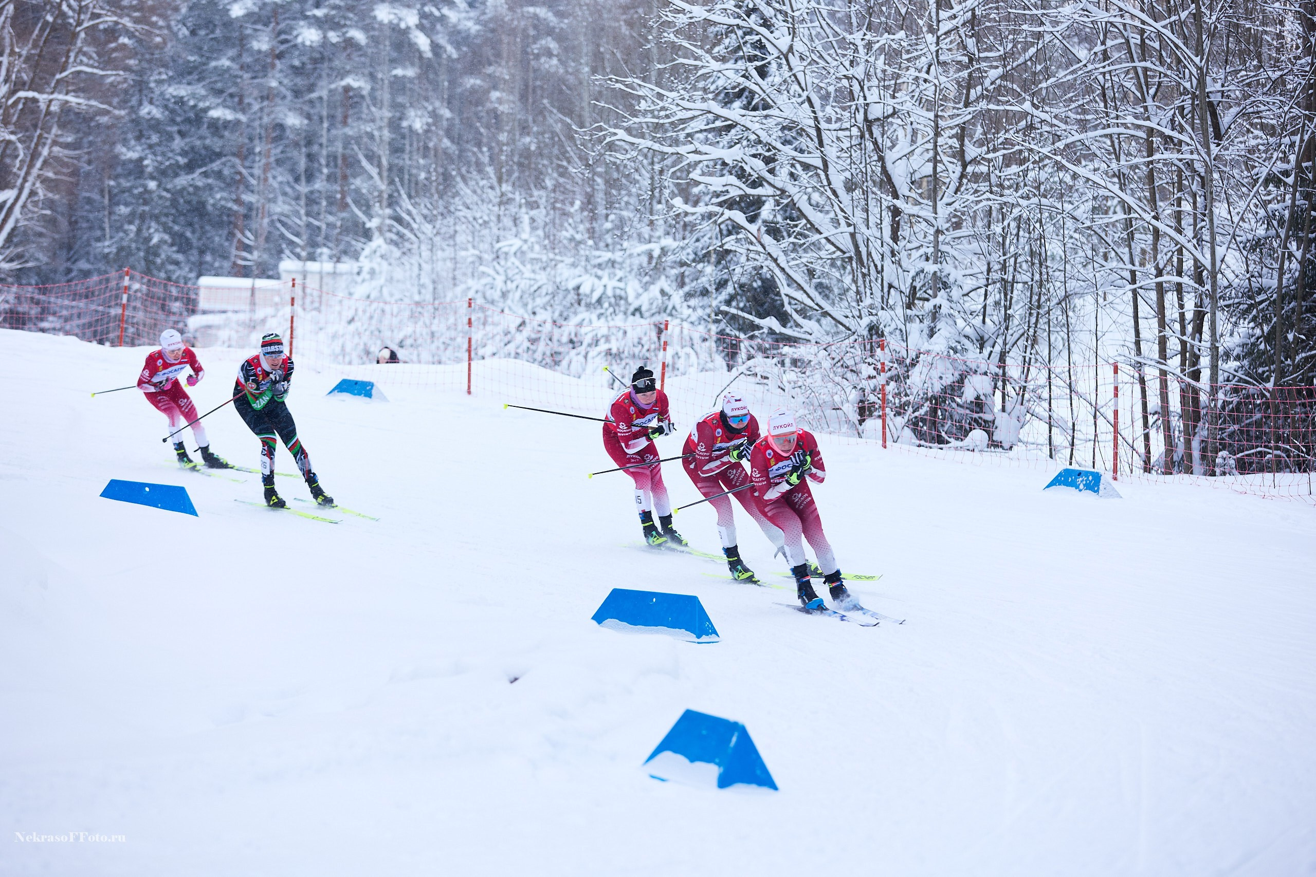 Кубок России по Лыжным гонкам. Спортивный фотограф Некрасов Денис