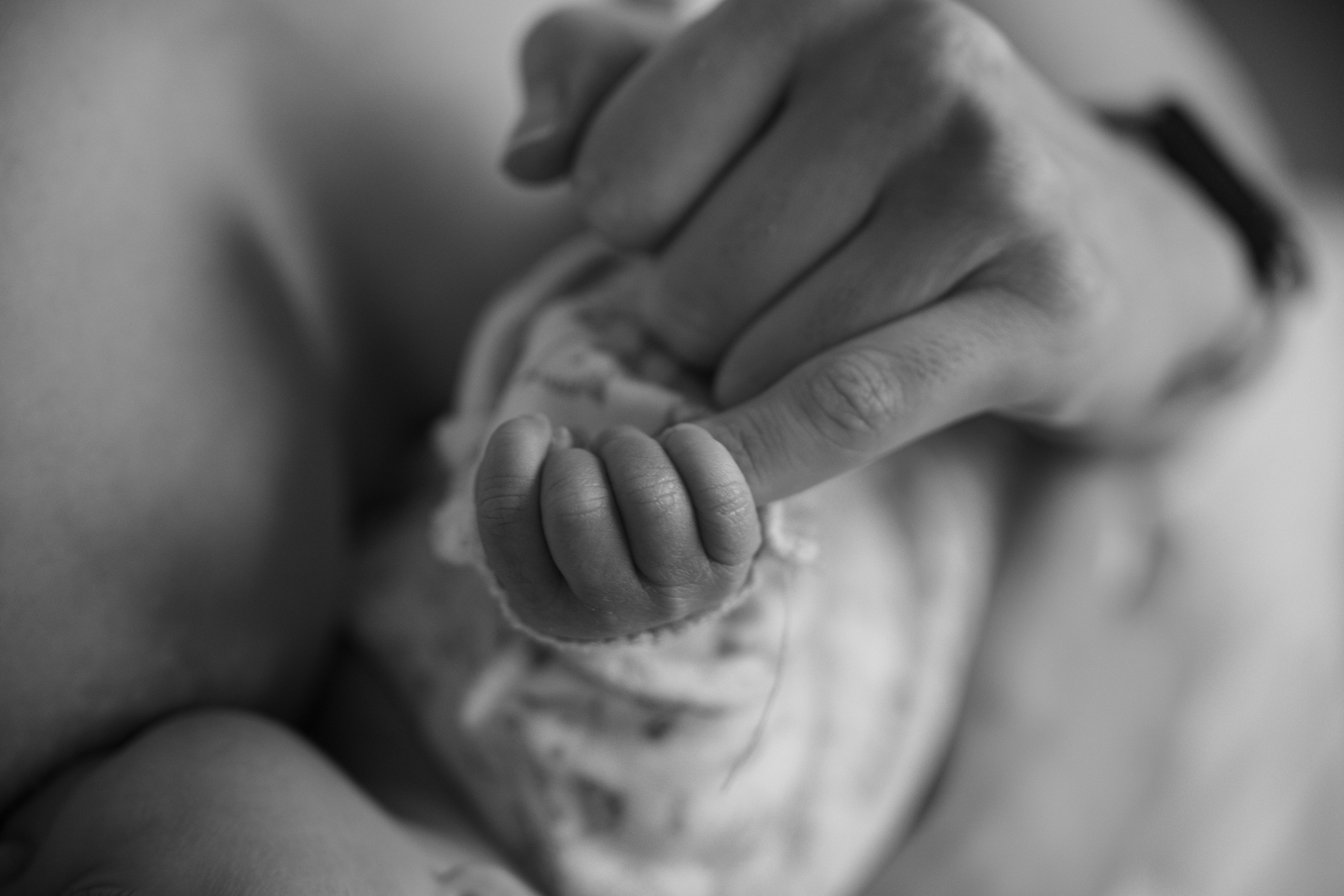 Ладушка (newborn natural). Семейный фотограф в Москве Наталья Капитонова