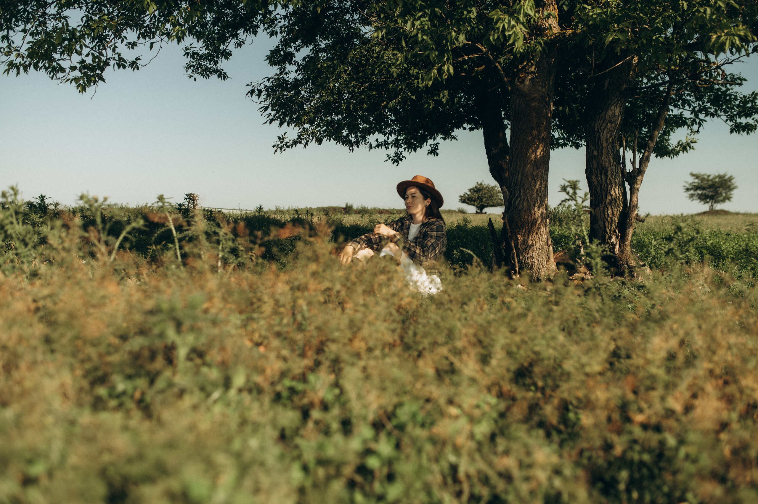 Фотосессия с овечками. Фотограф Быстрова Дарья г. Москва