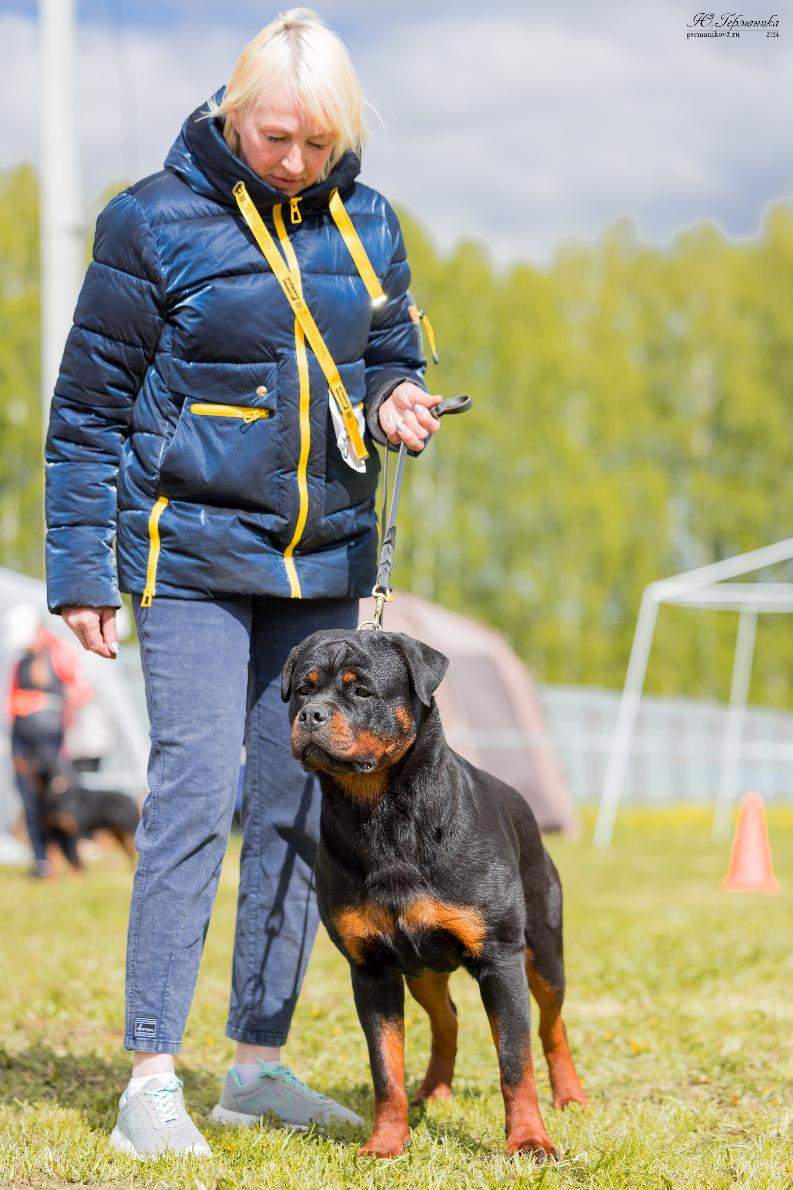 Нижний Новгород 11-12.05.2024 моно ротвейлеров. Фотограф-анималист Юлия Германика
