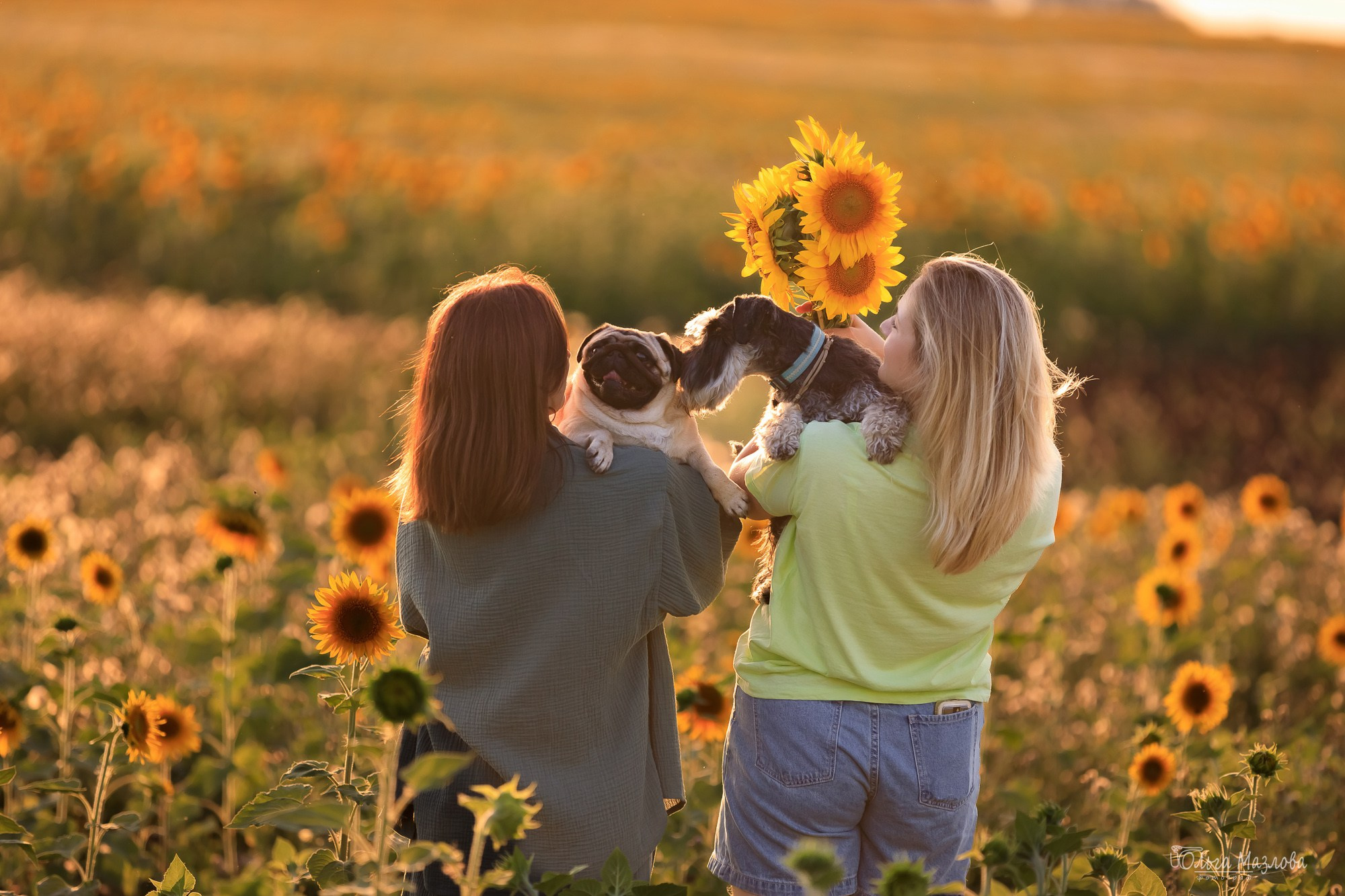 Фотосессия с питомцами. Фотограф в Саратове Ольга Мазлова