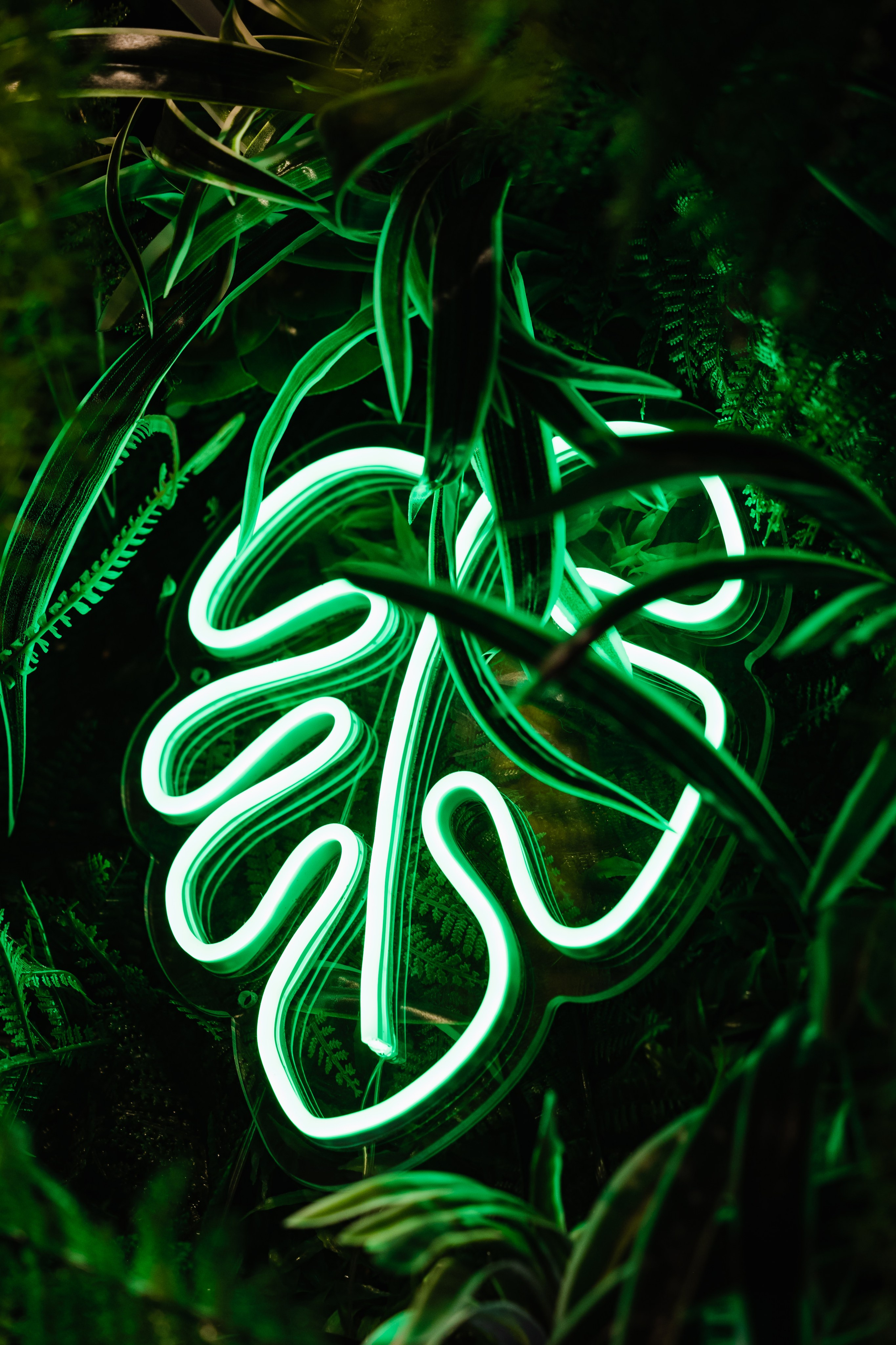 MALINA | SATURDAY NIGHT. Фотограф в Сочи Екатерина Потапова