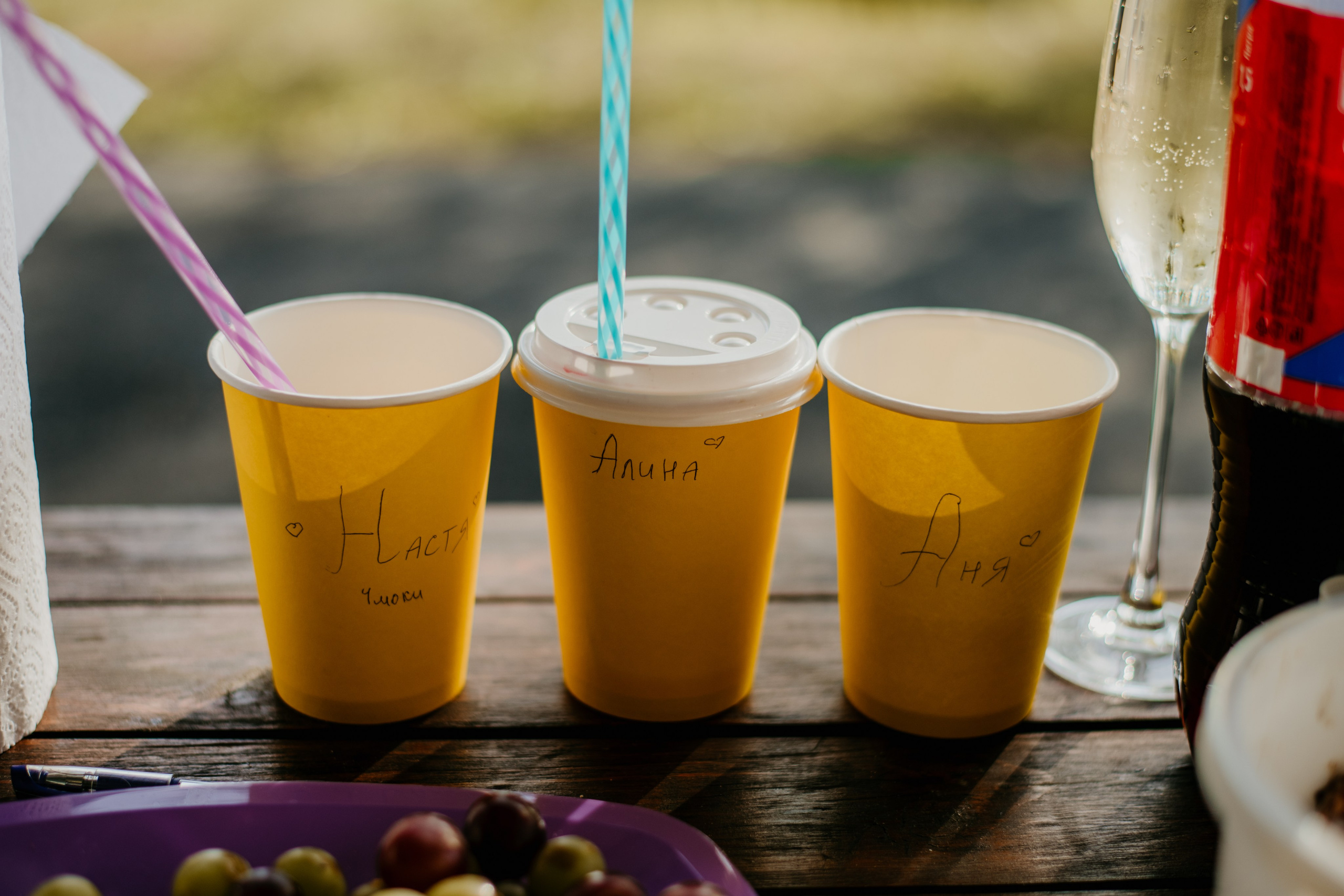 Репортаж со дня рождения на природе