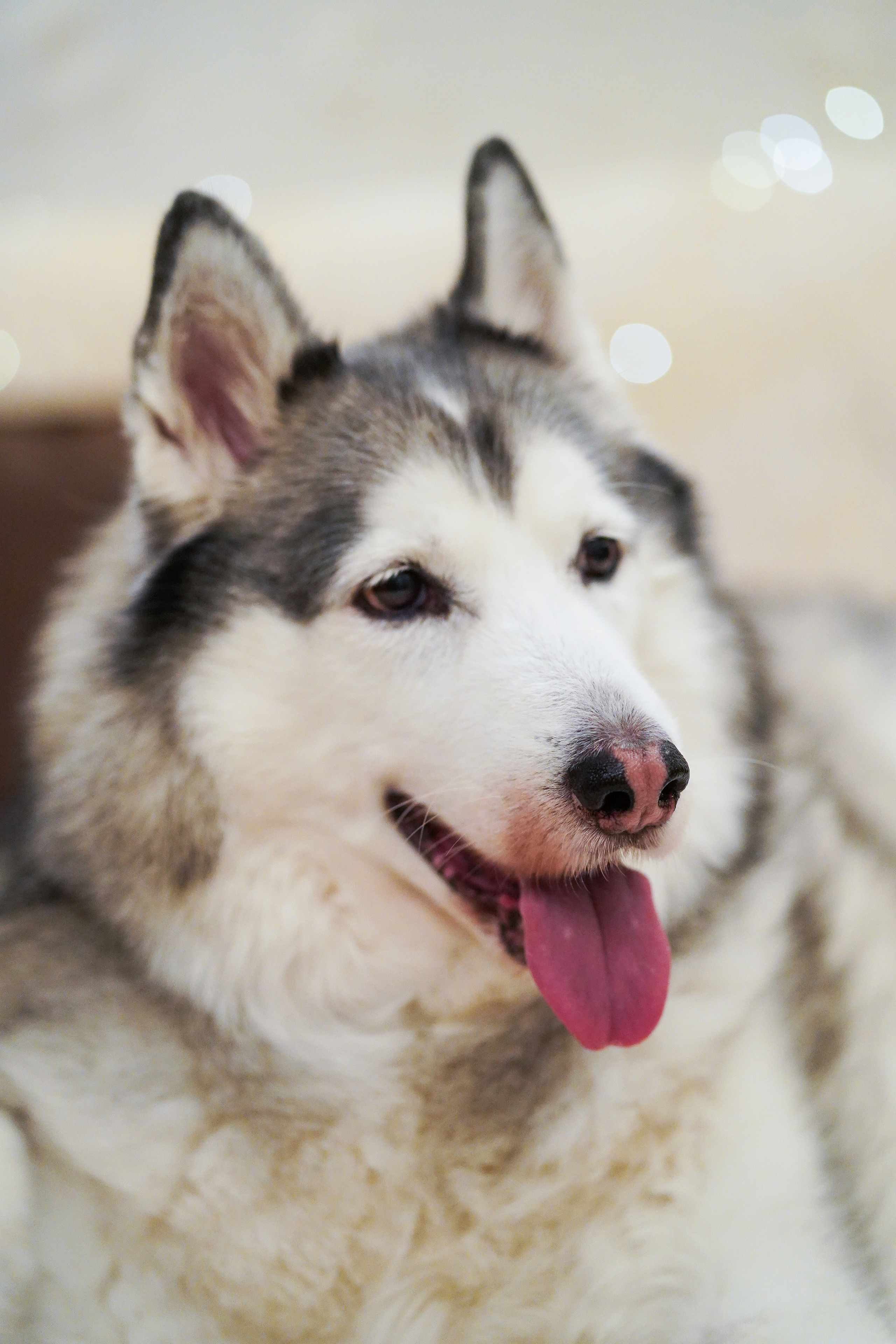 Надточеевы. Фотограф Александра Луць