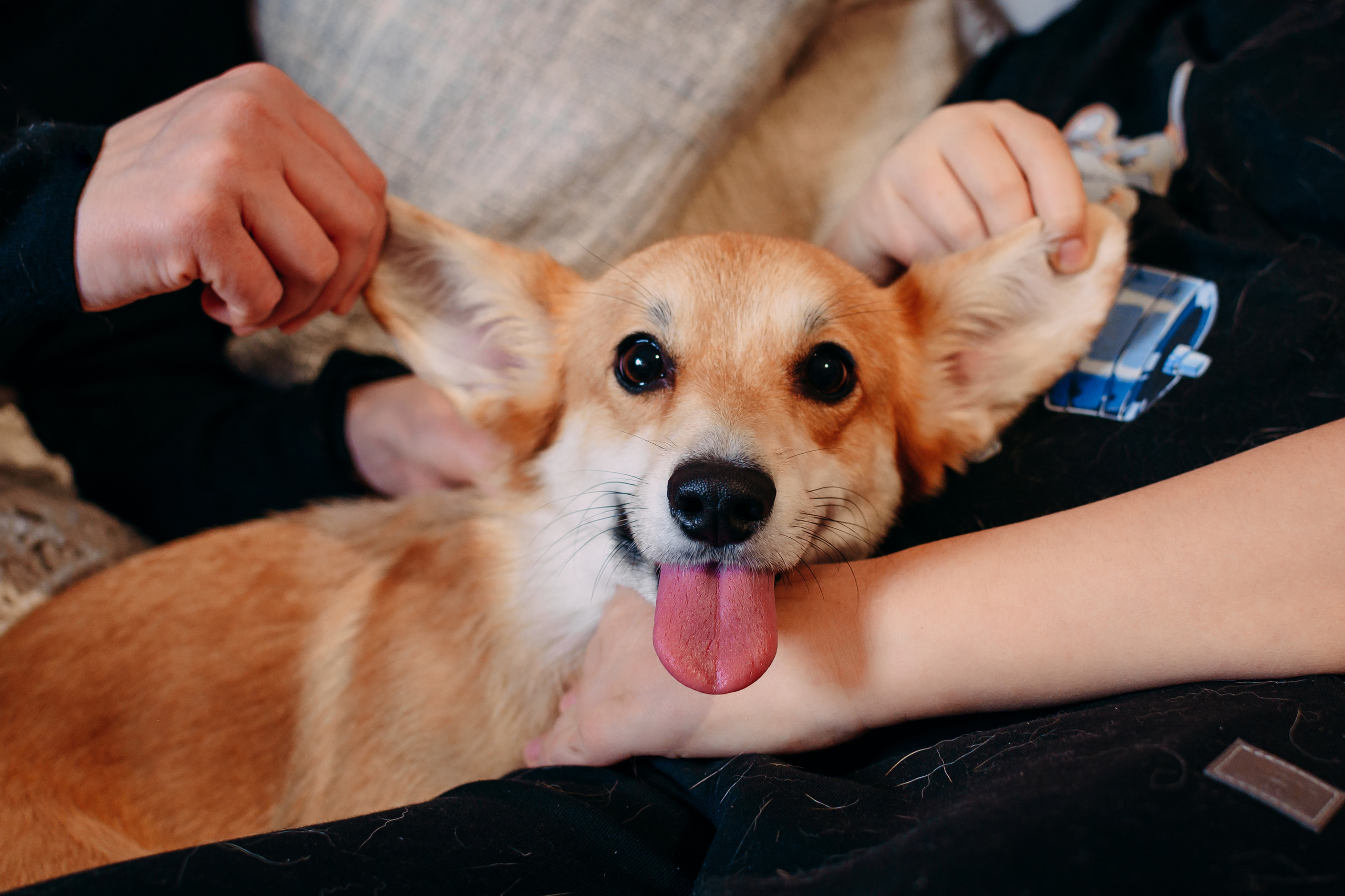 Семейная фотография. Свадебный и семейный фотограф в Москве Юлия Шикалова