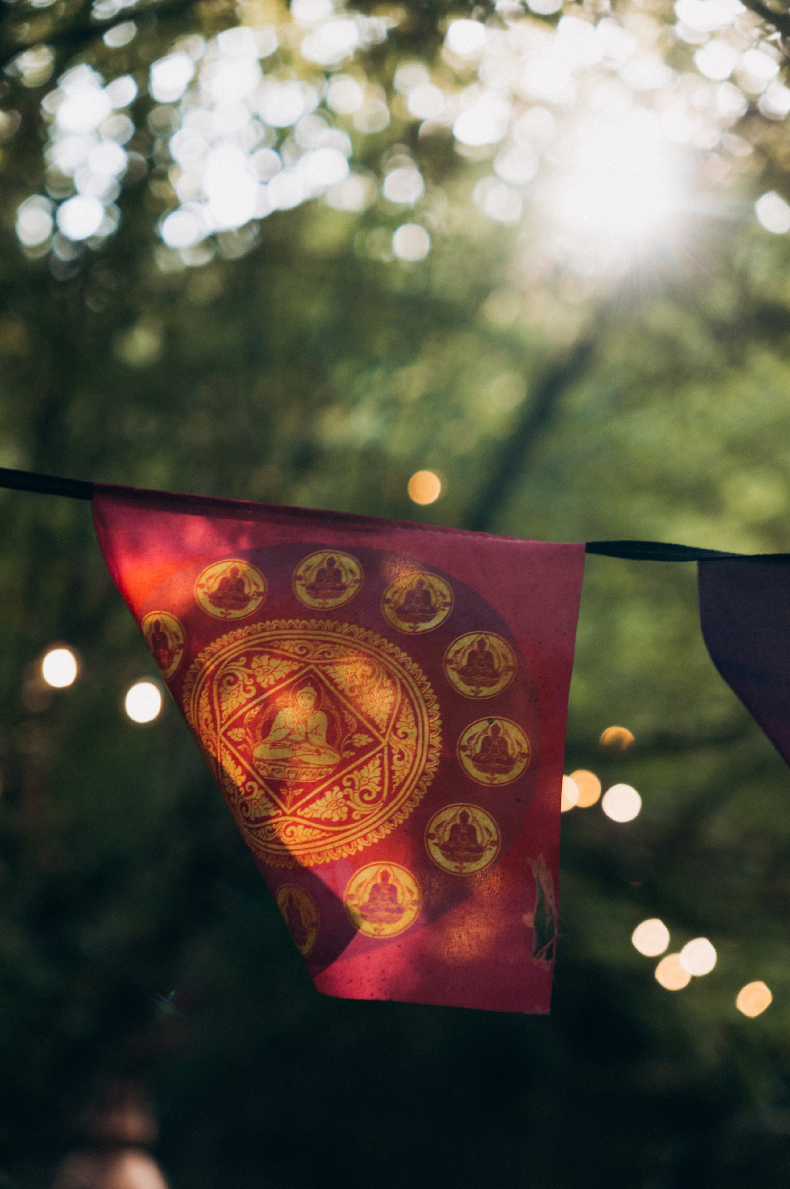 Праздник Полной луны | эко-парк «Шепот трав». Обо мне