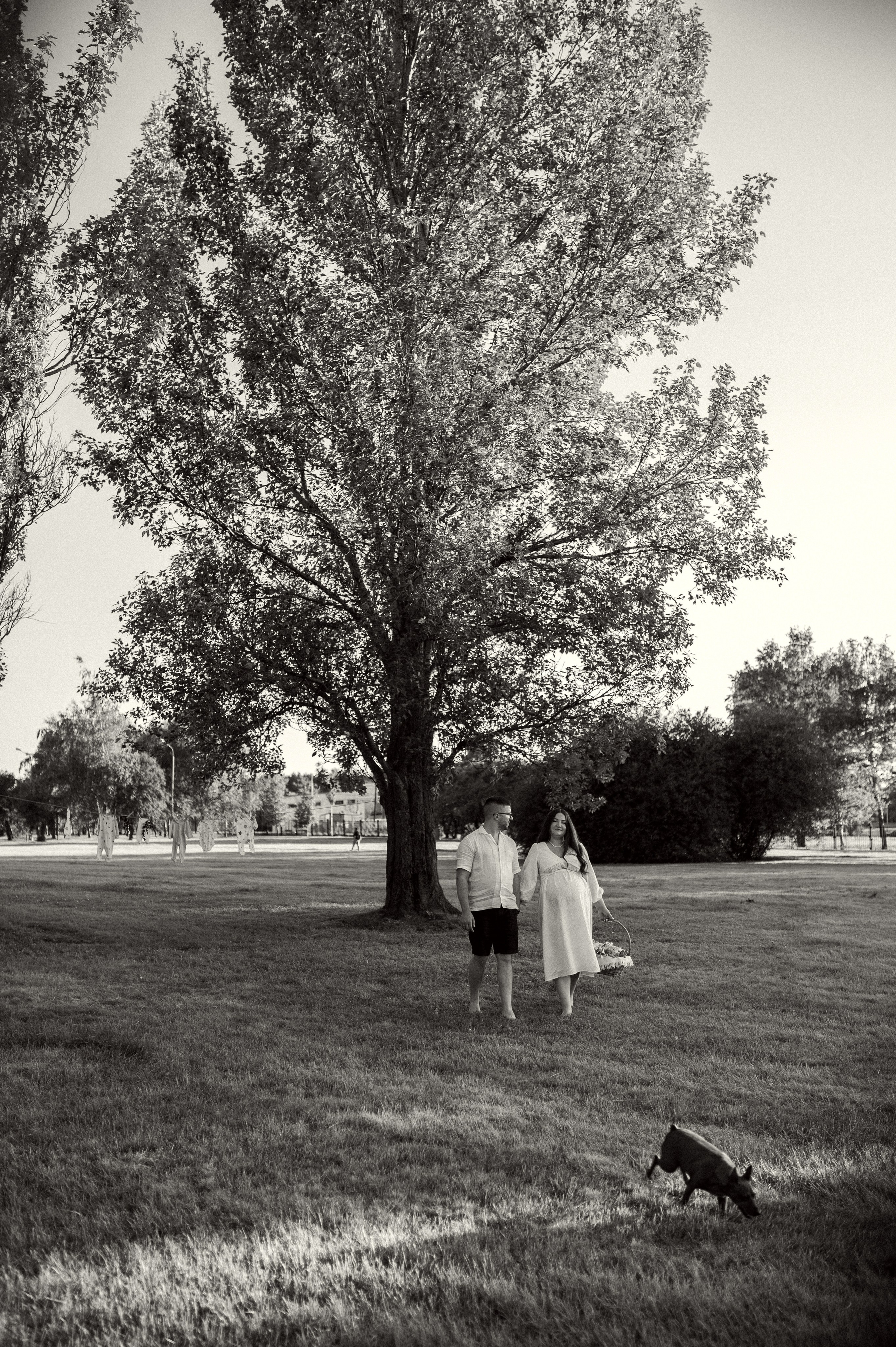 Фотосессия беременности на природе в парке Москвы. Семейная фотосессия Бутово Москва фотограф Алина Морщагина