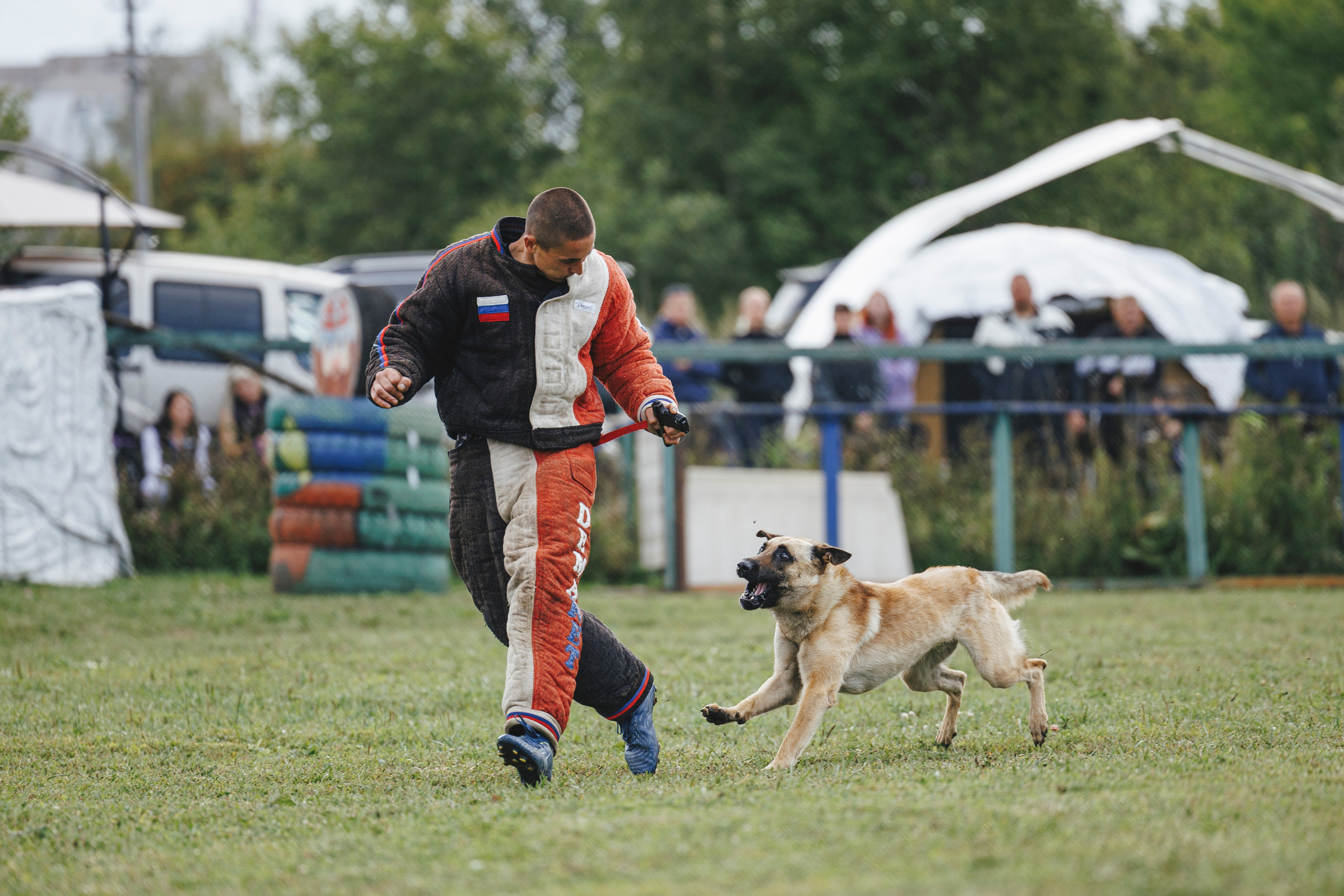 08.08.25-10.08.25 ЧР по мондьорингу г. Вологда. Фотограф-анималист Анна Маринич