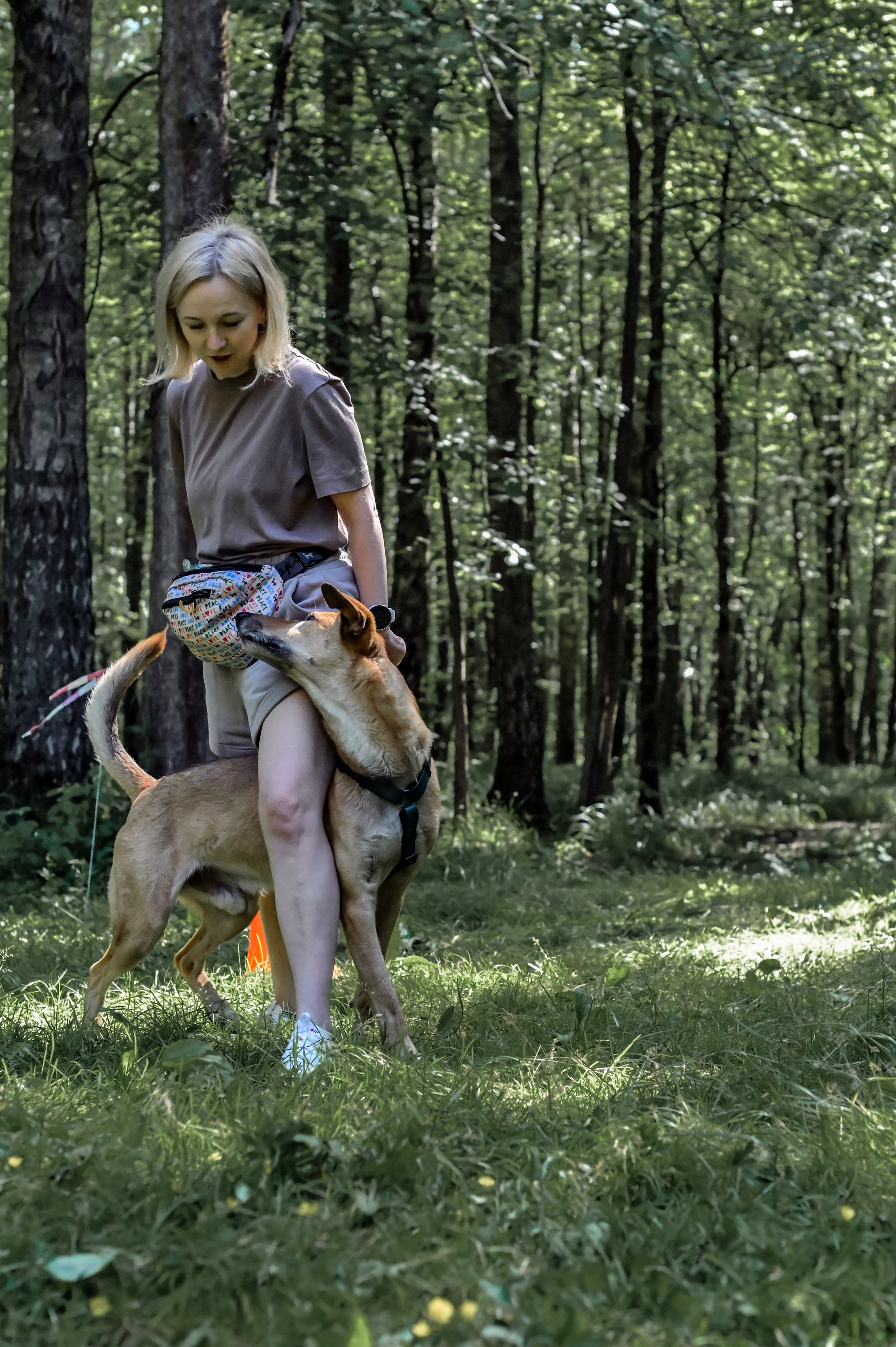 Кинологические соревнования. Семейный и репортажный фотограф в Москве Анастасия Трубкина