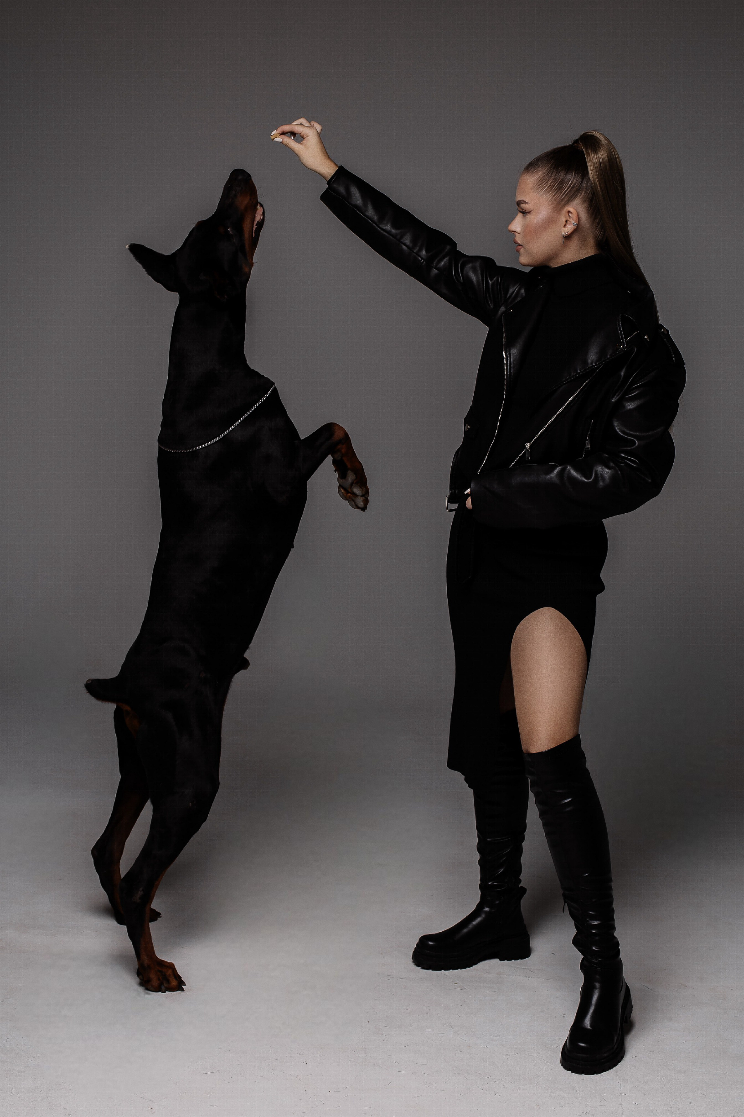 Съемка с доберманами. СВАДЕБНЫЙ ФОТОГРАФ ЧЕЛЯБИНСК