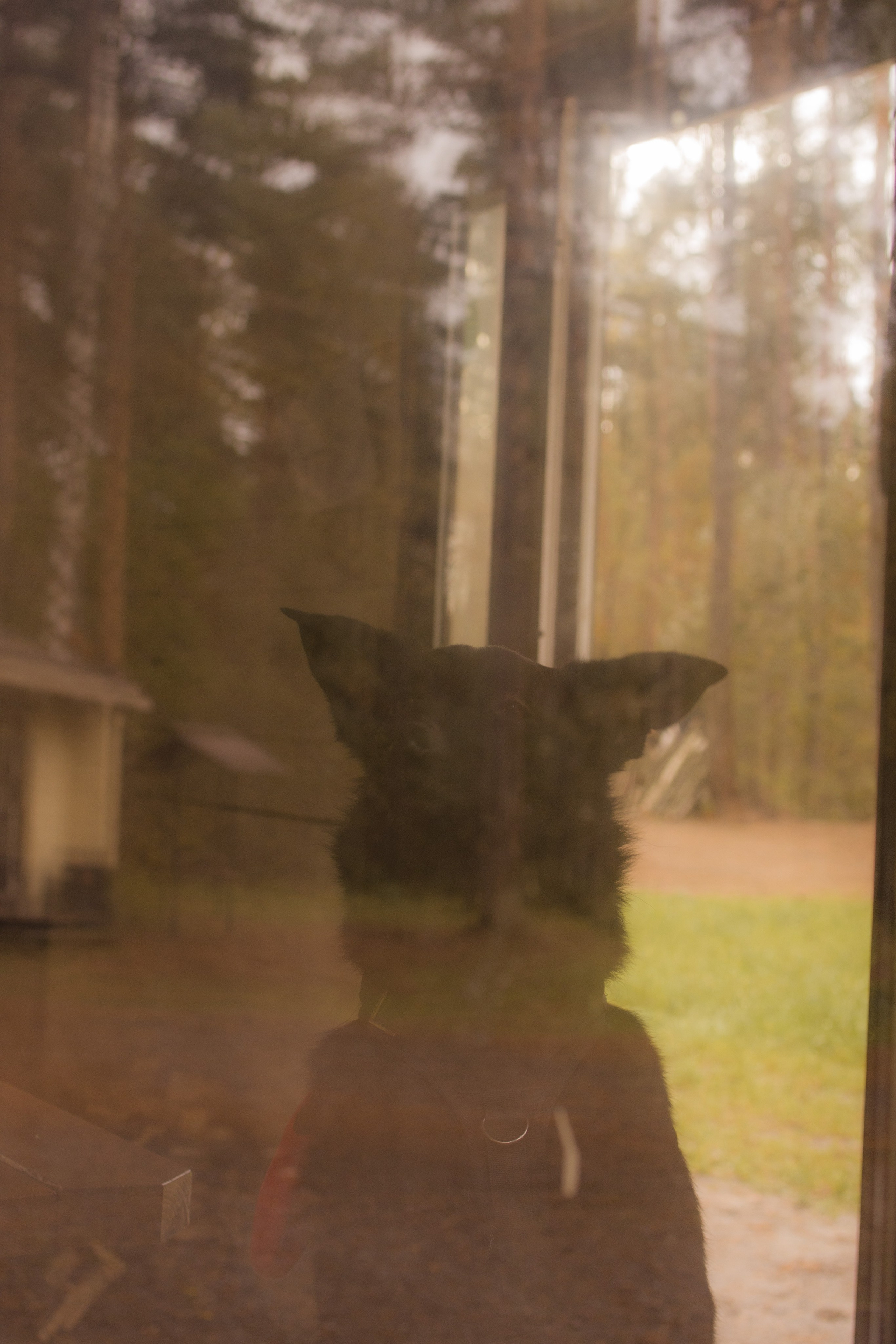 Даша и Дэни. Художественная фотография