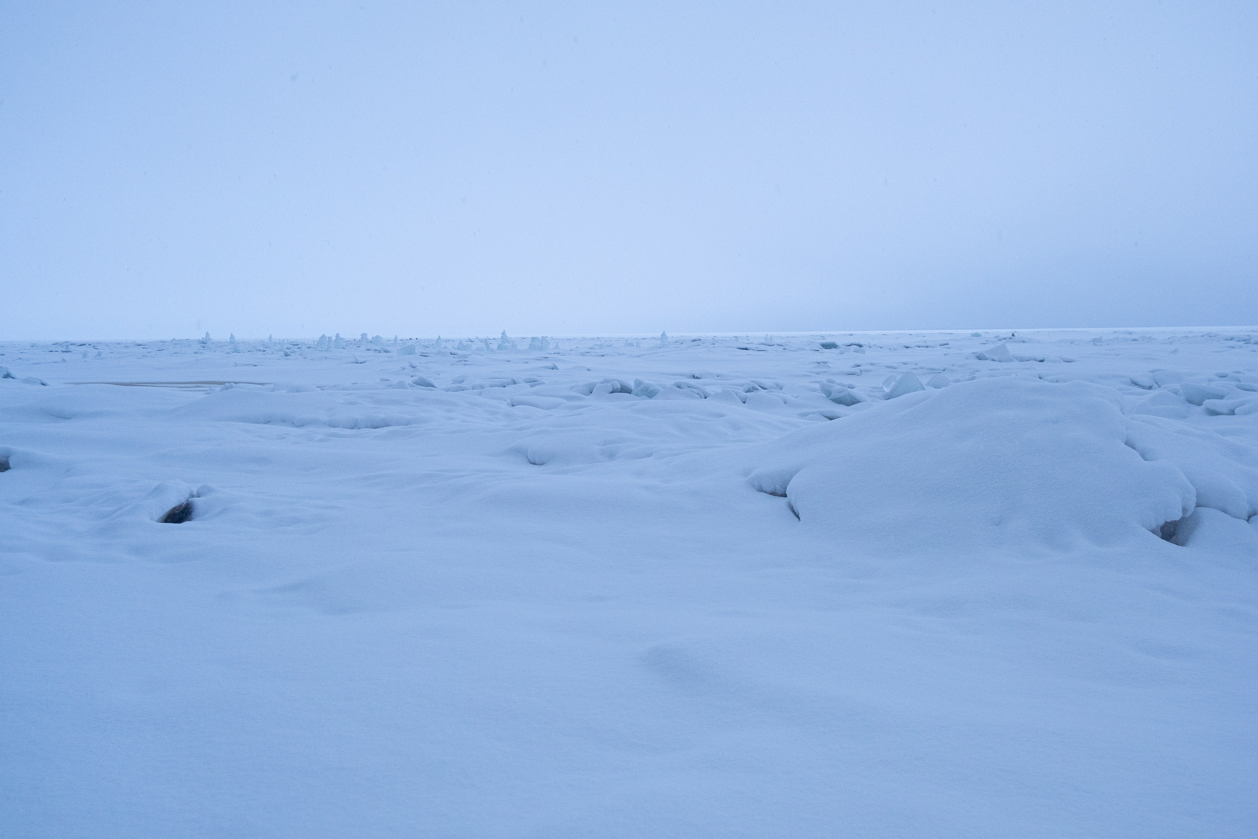 Комарово. Портретный и архитектурный фотограф в Москве и Санкт-Петербурге