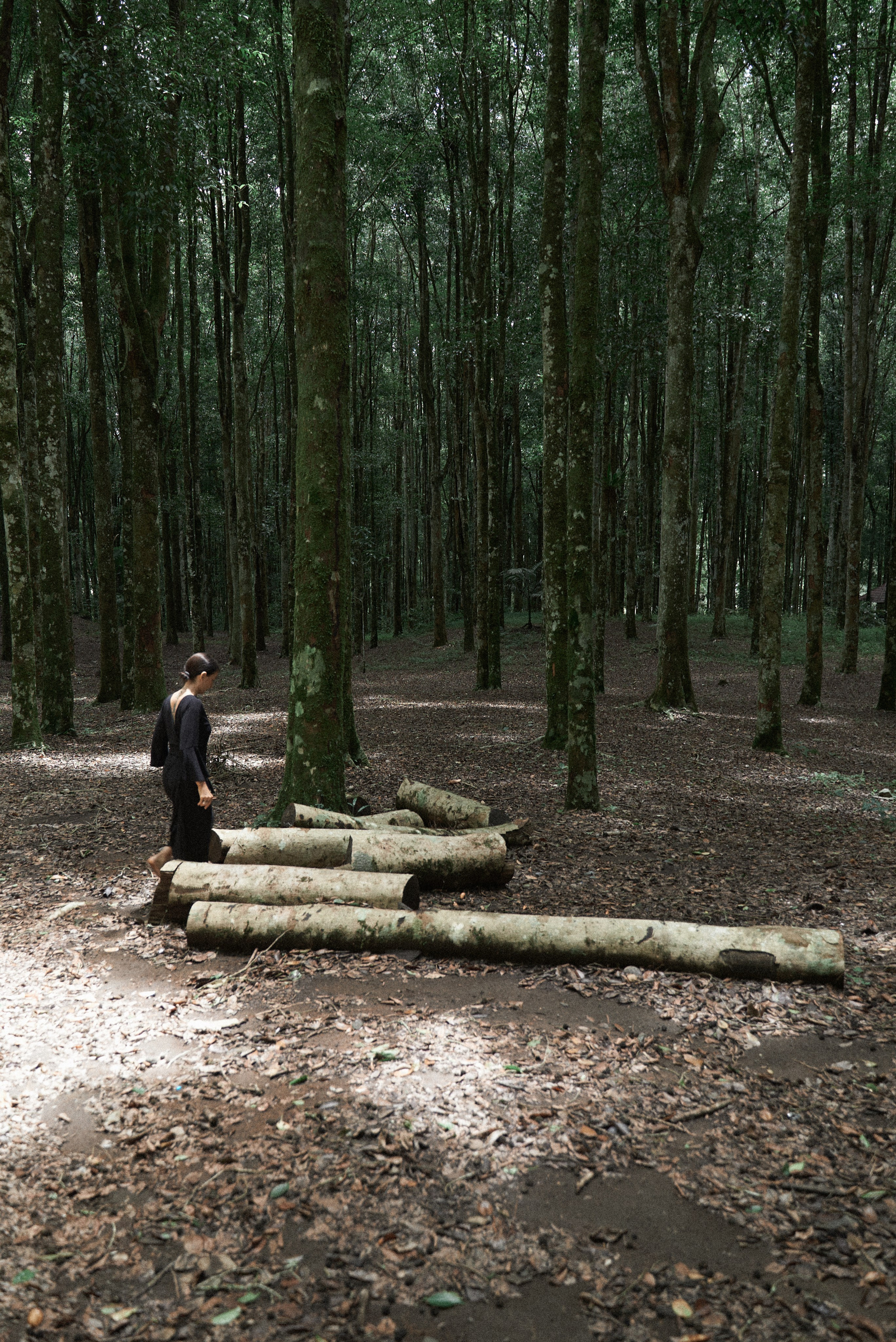 Julie nord garden. Главная