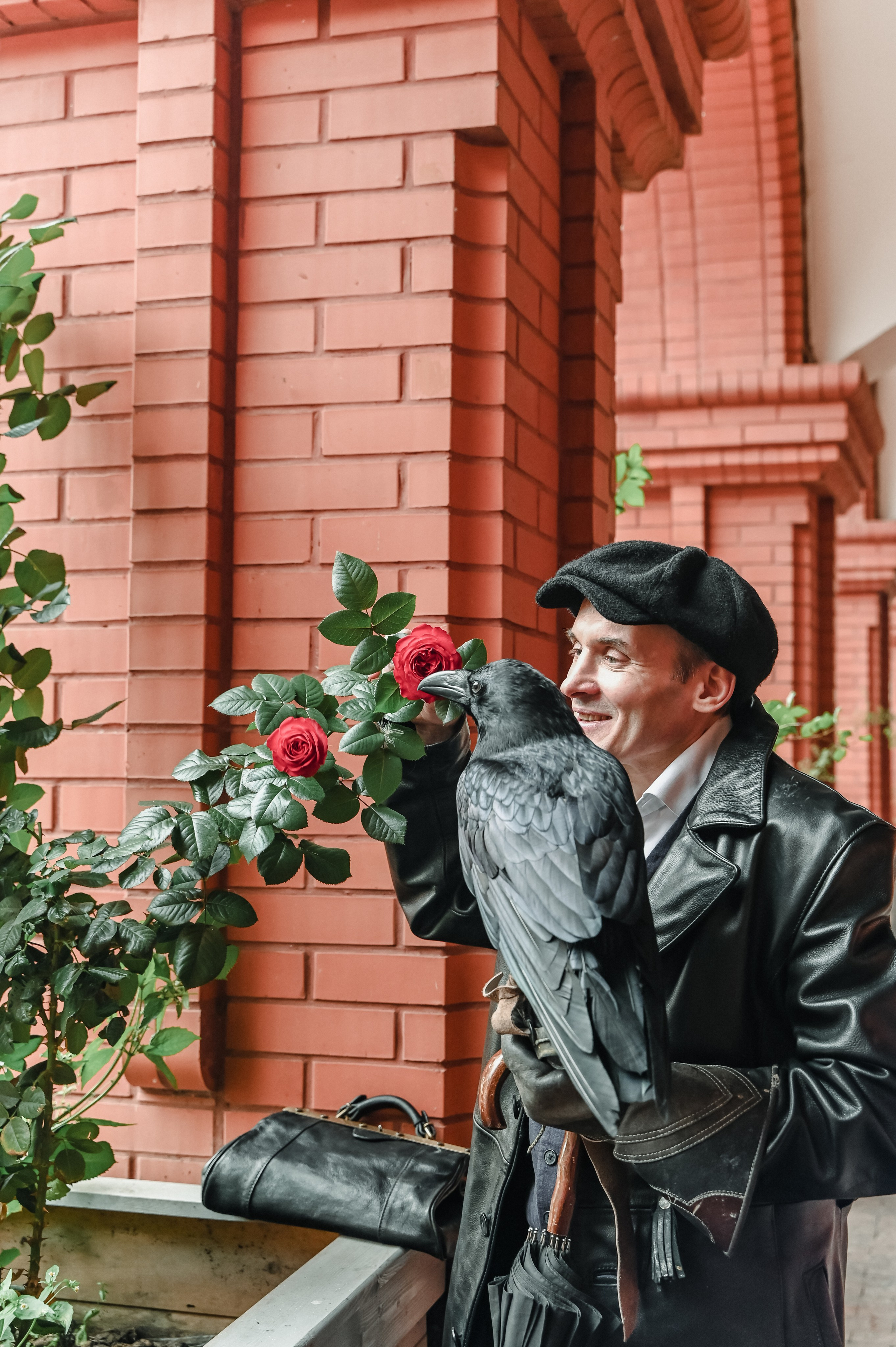 Мудрость Дона Корлеоне