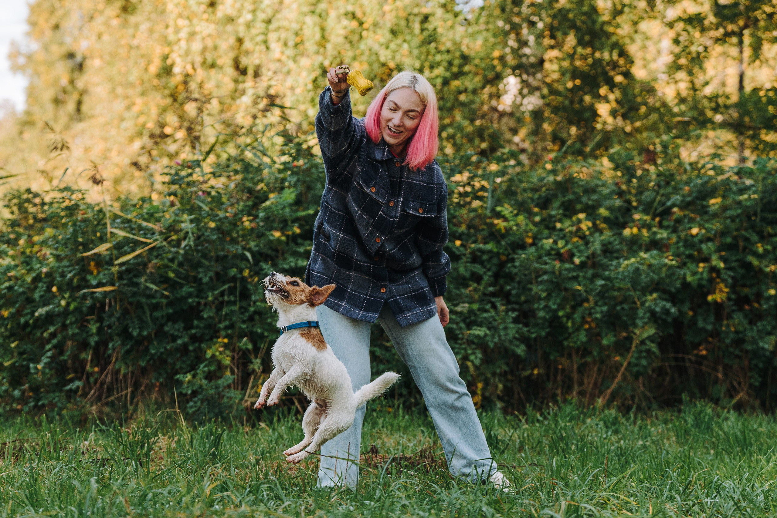 Фотосессия с маленькой собакой Спб. Фотограф анималист в Спб недорого Олеся Майорова