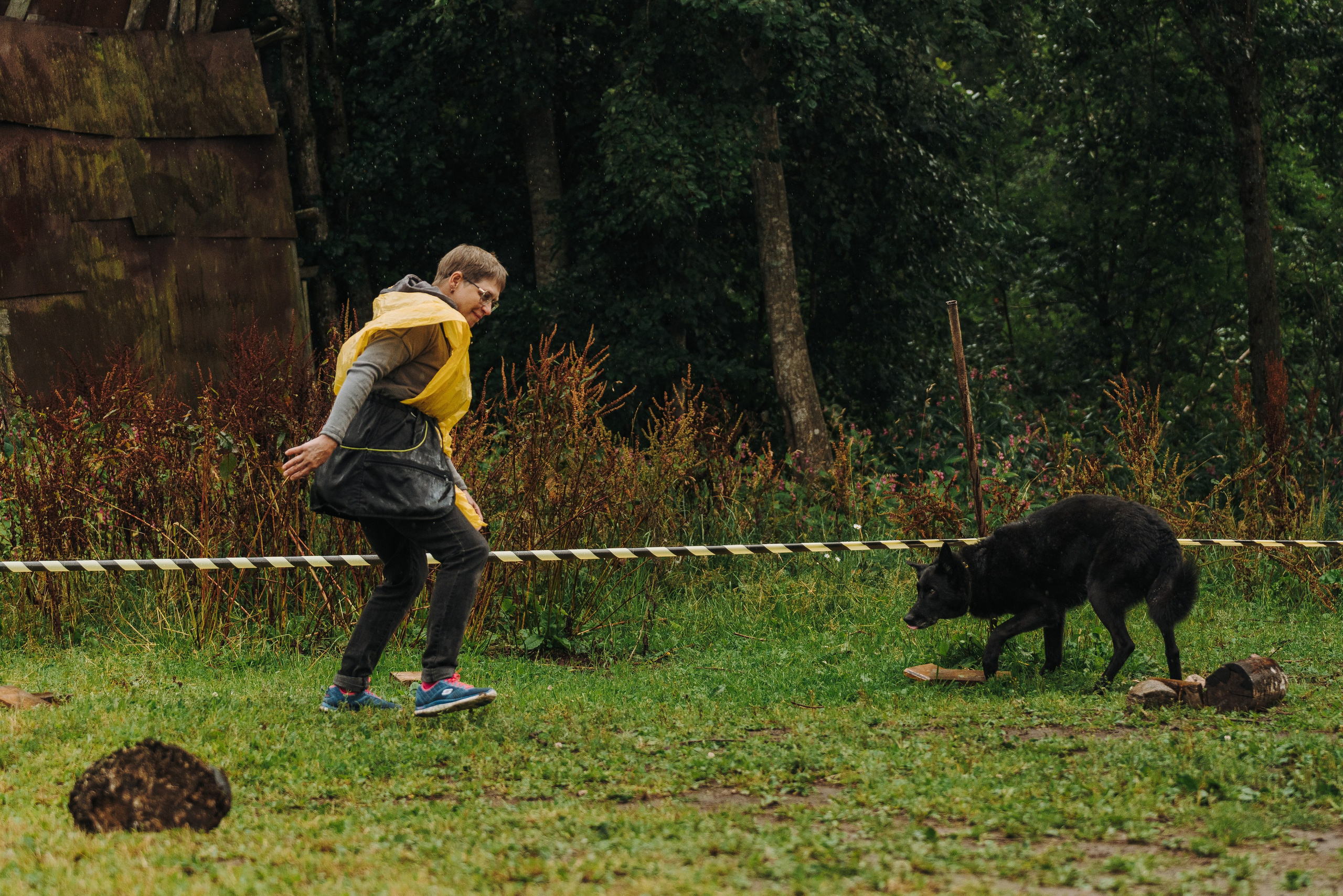 Соревнования по ноузворку в Новожилово. Фотограф анималист в Спб недорого Олеся Майорова