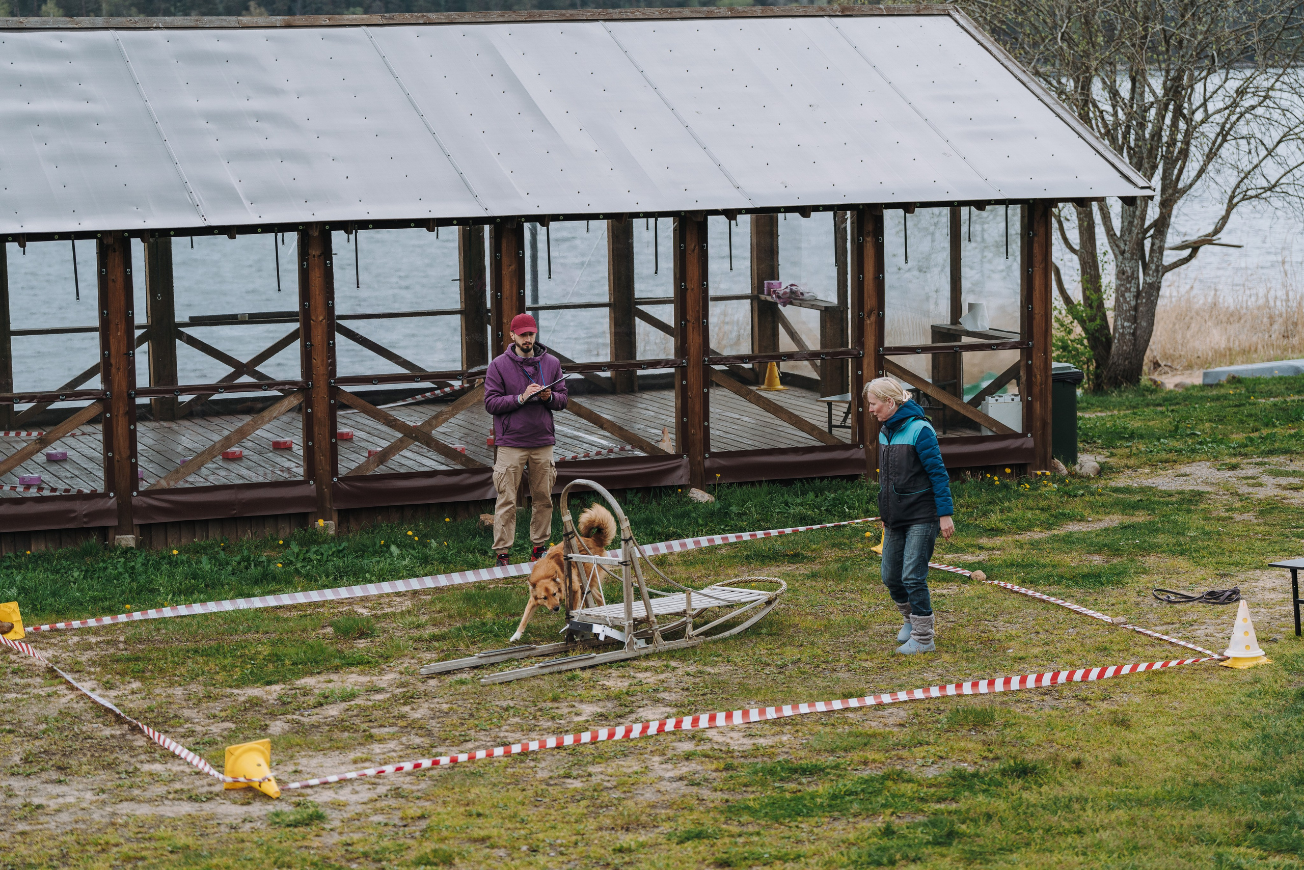 Соревнования по ноузворку в Лосево. Фотограф анималист в Спб недорого Олеся Майорова