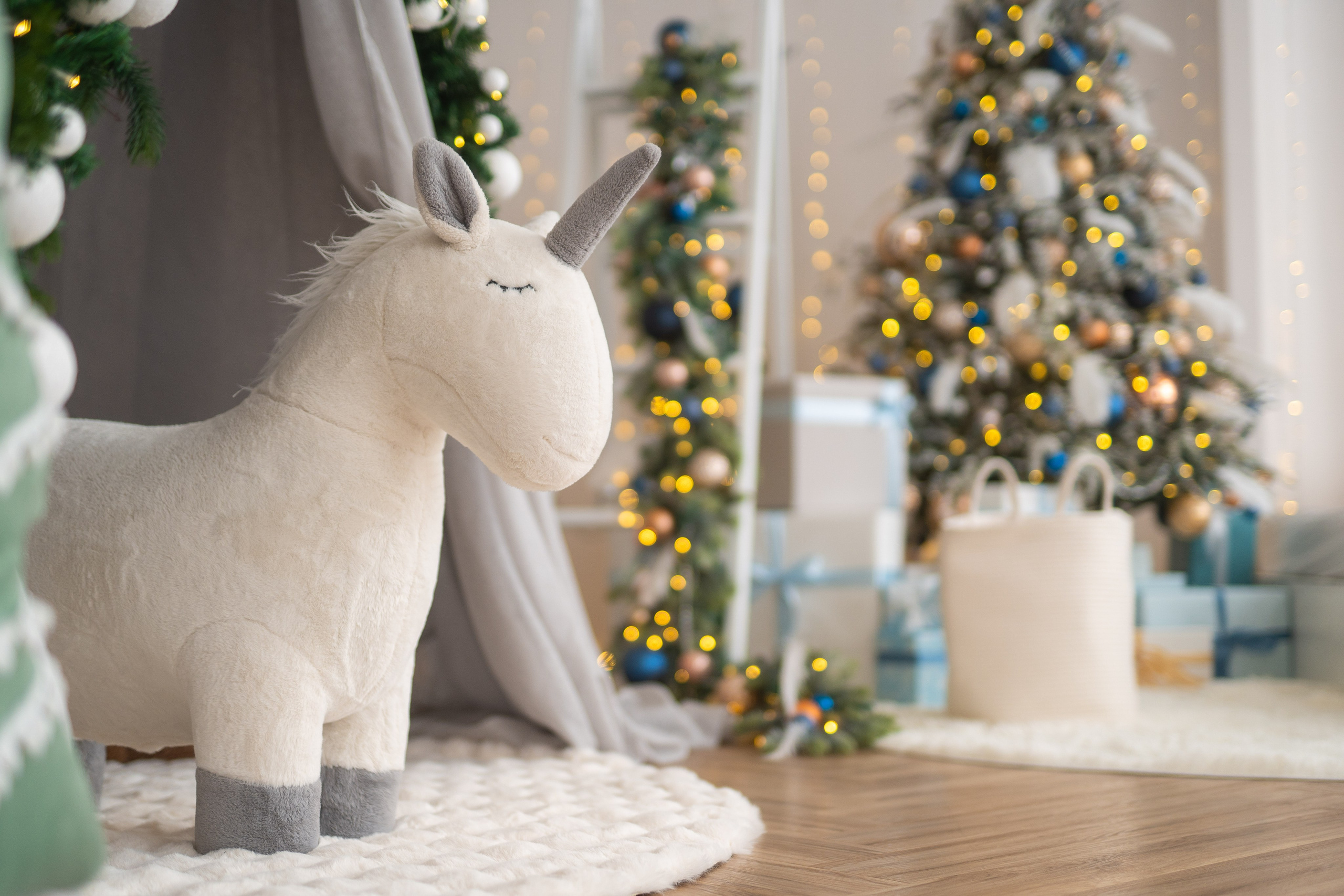 Зал Белый. Фотограф г. Хабаровск. Семейные и индивидуальные съёмки