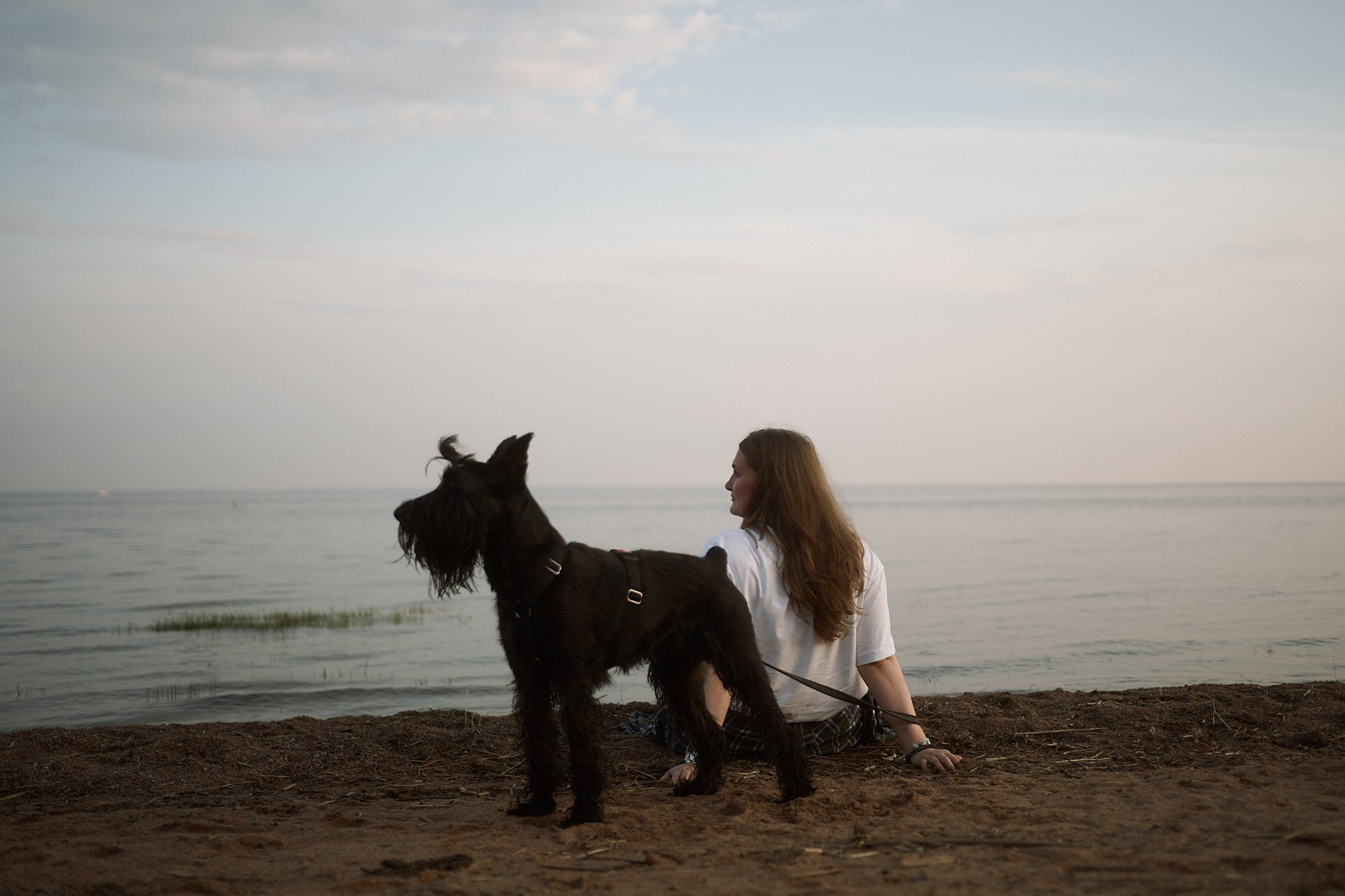 Закат на заливе. Фотограф анималист Москва Дарья
