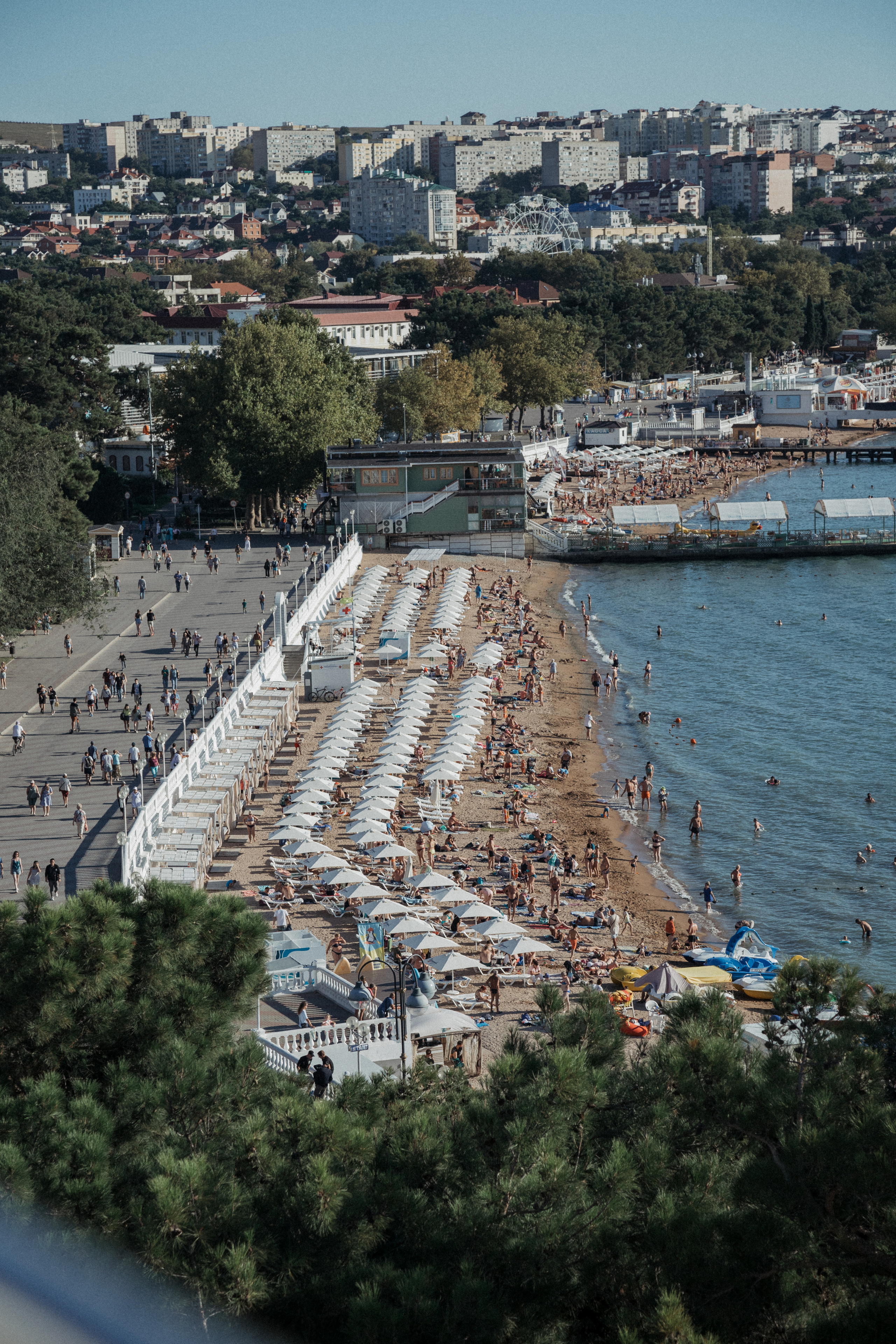 Свадебная фотография