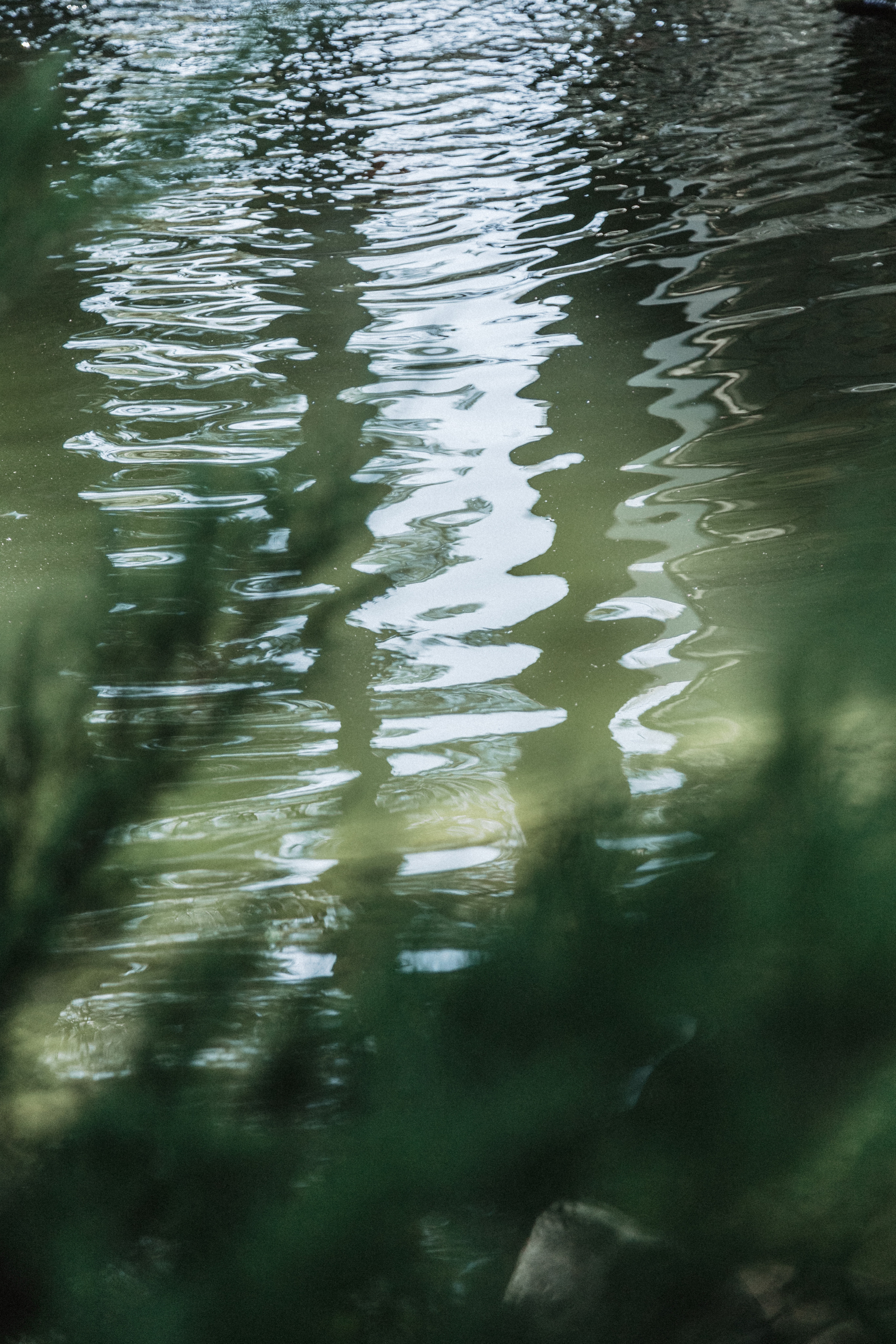 Свадебная фотография