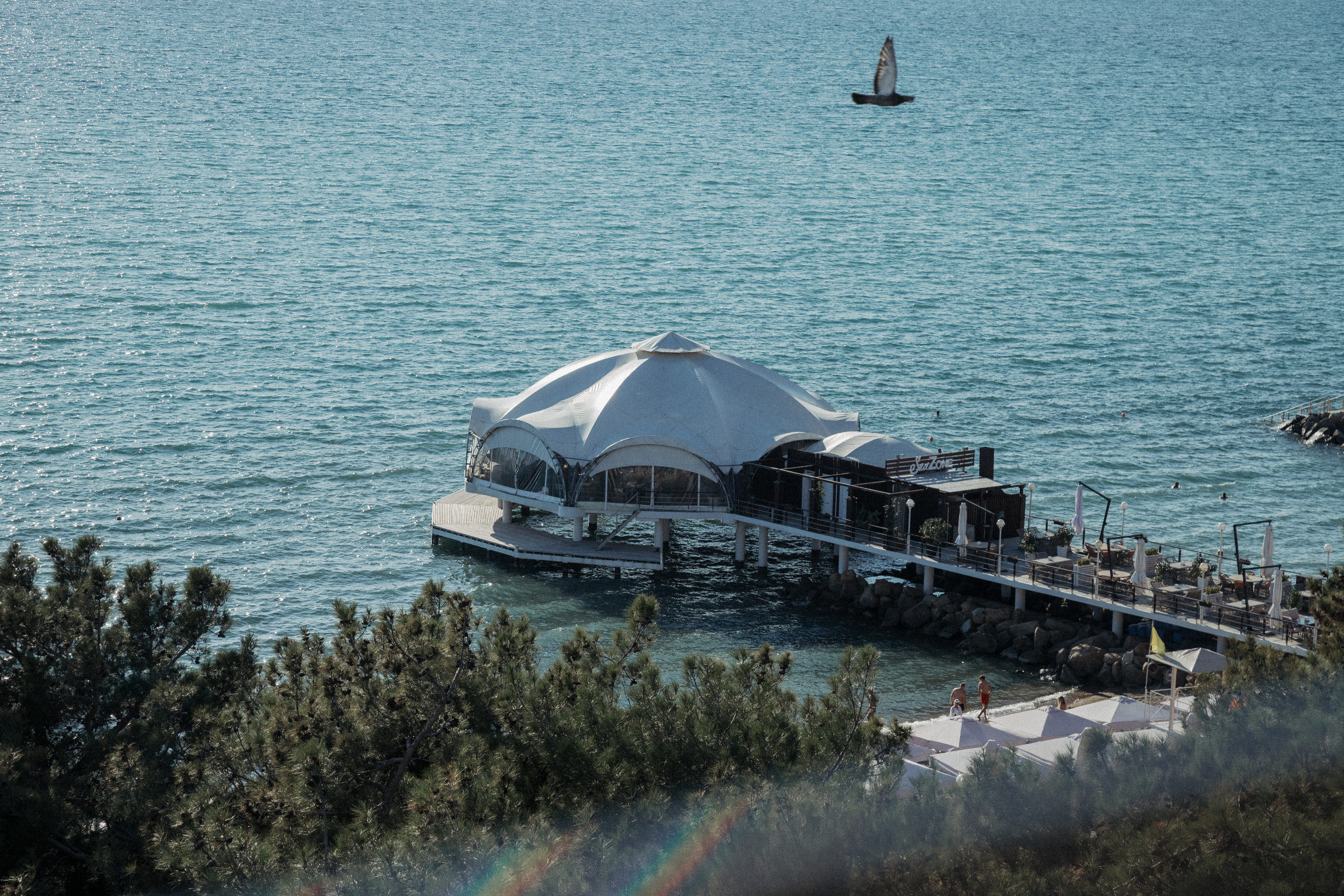 Свадебная фотография