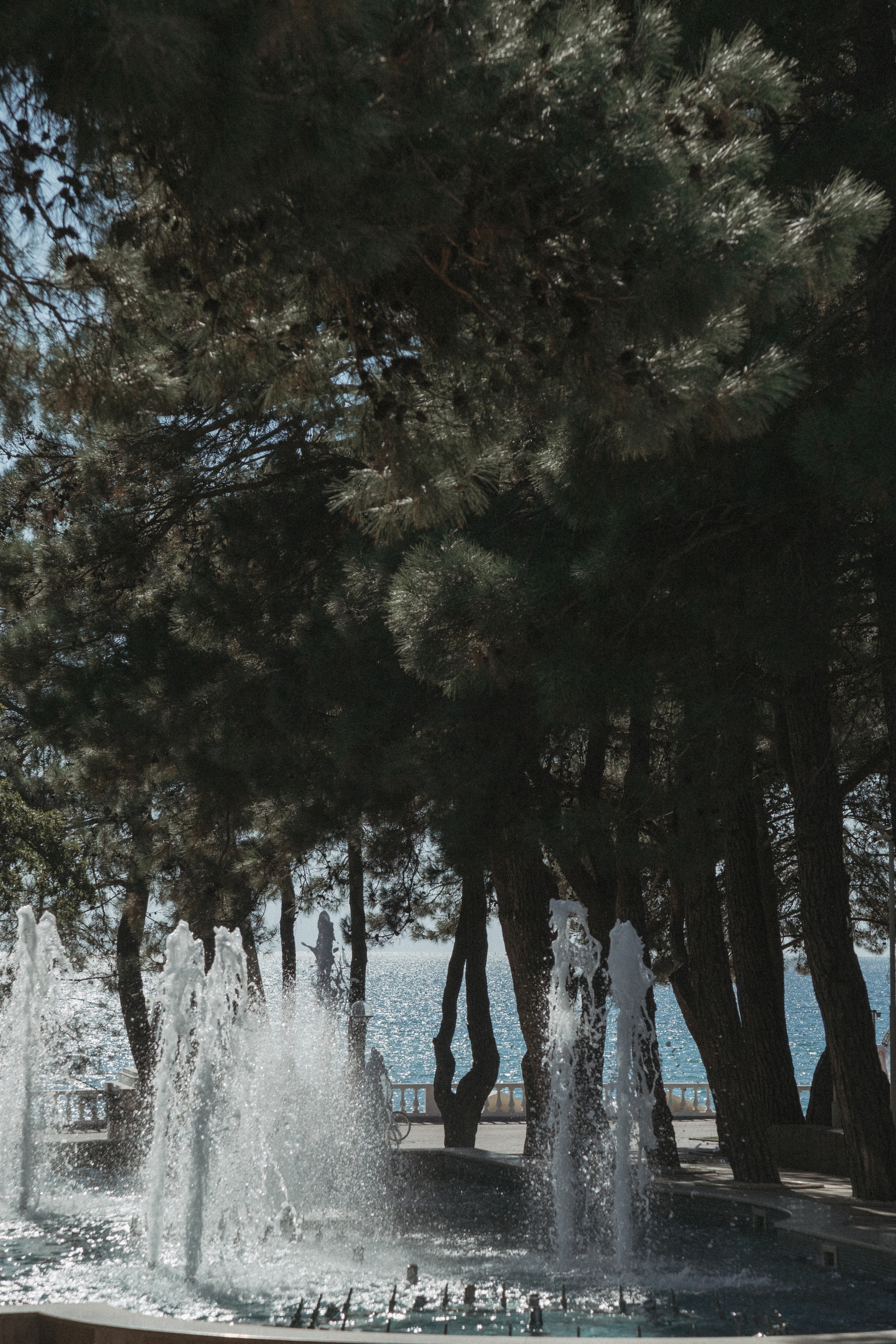 Свадебная фотография