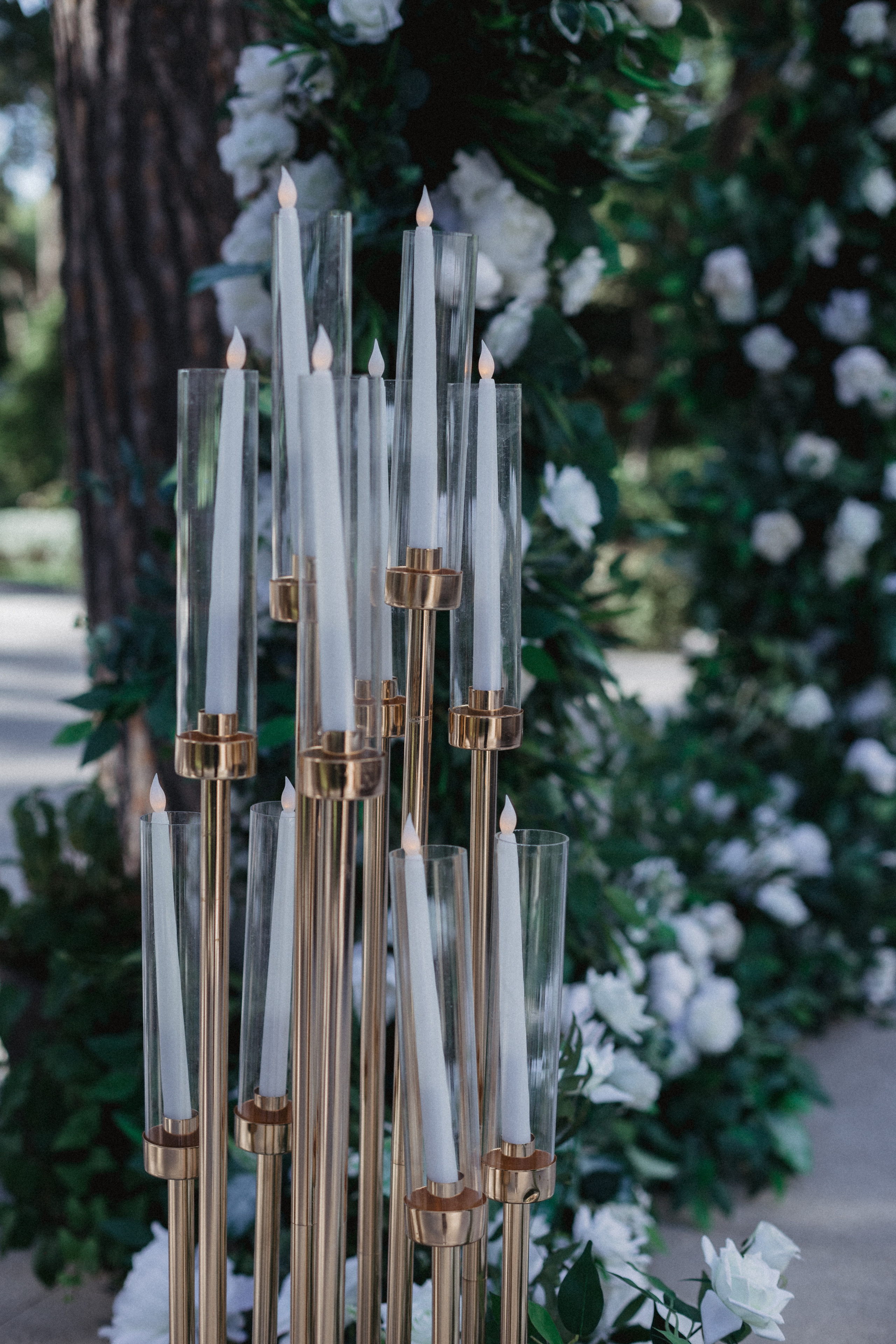 Свадебная фотография