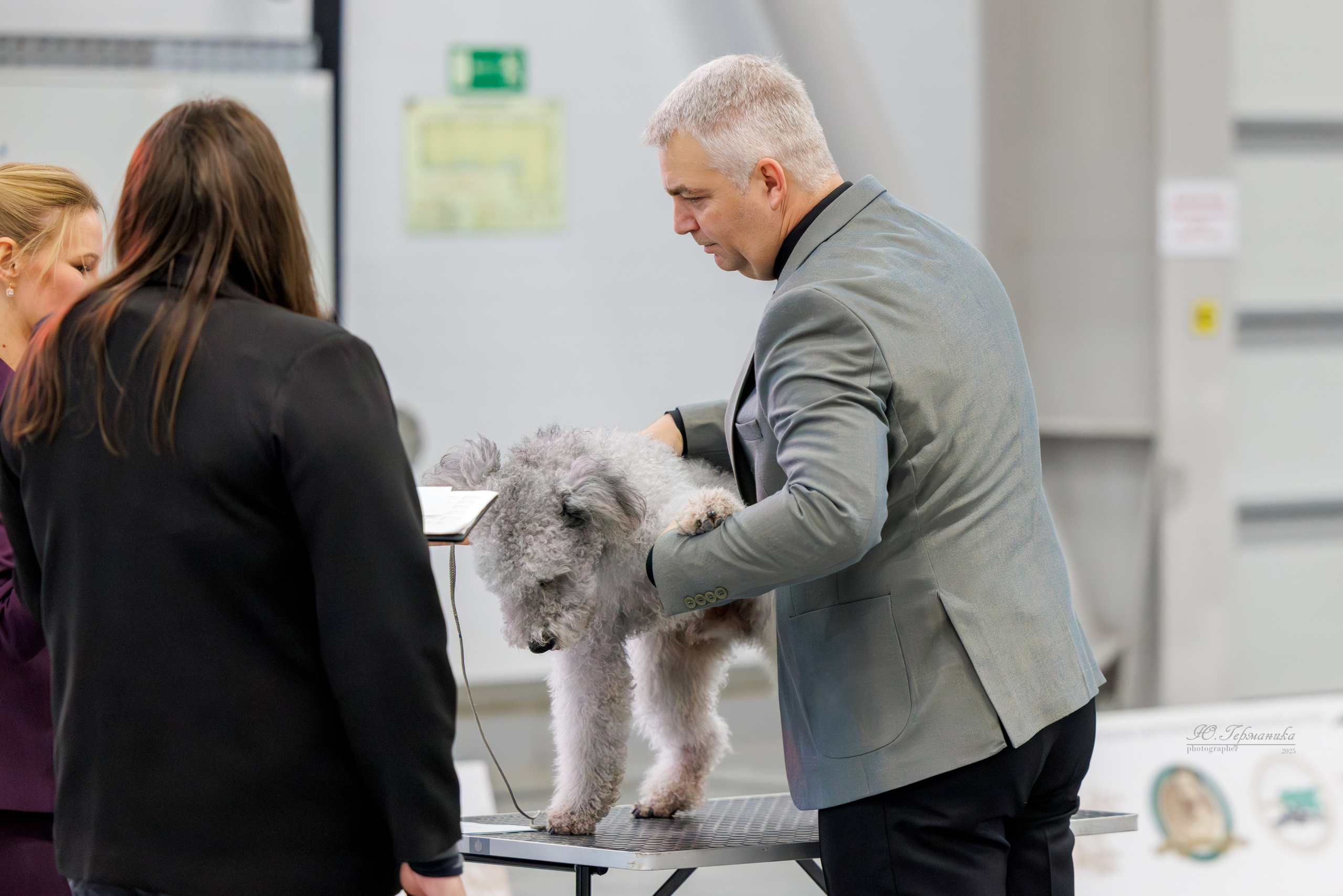 Зилант Казань 29-30.11.2025. Фотограф-анималист Юлия Германика