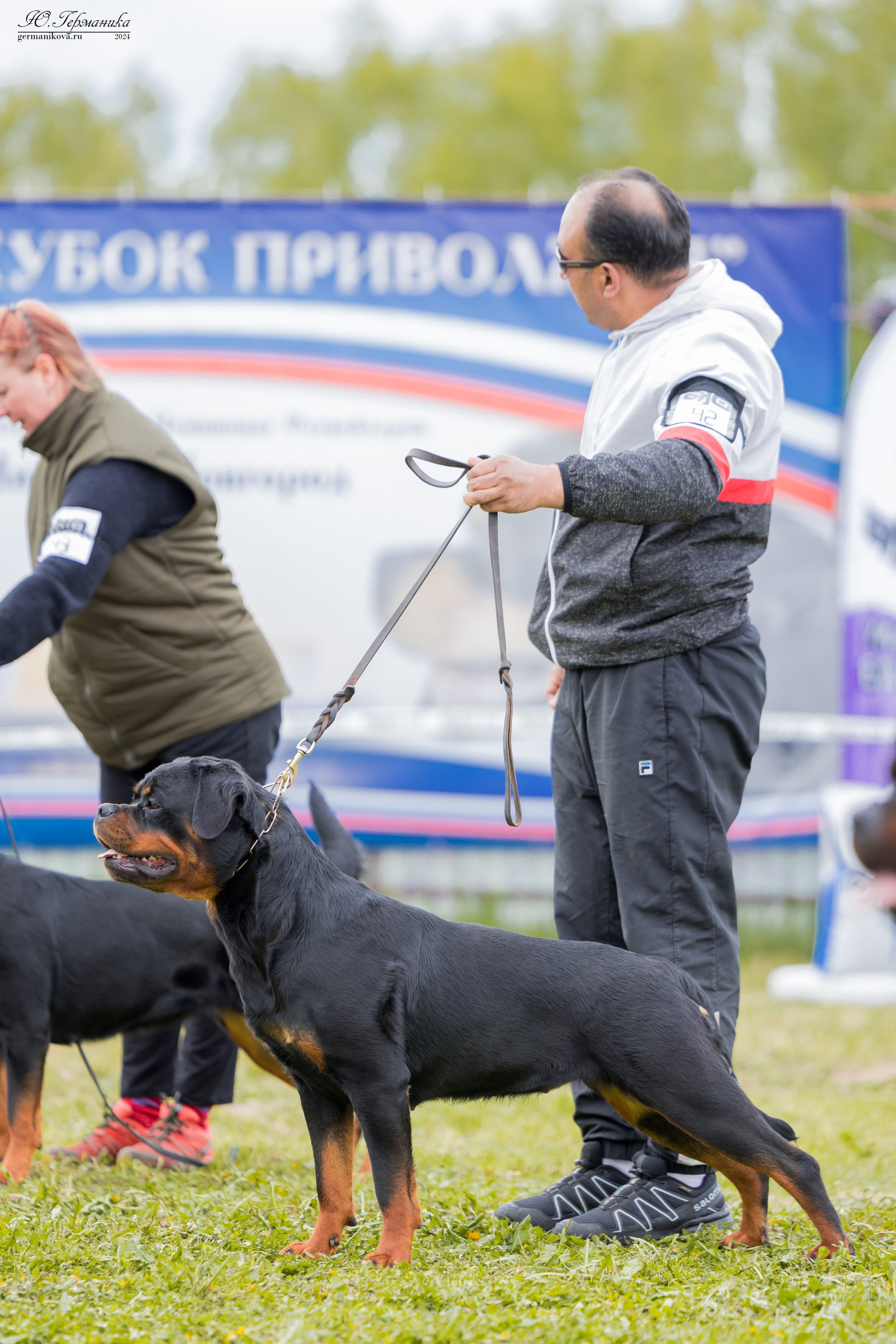 Нижний Новгород 11-12.05.2024 моно ротвейлеров. Фотограф-анималист Юлия Германика