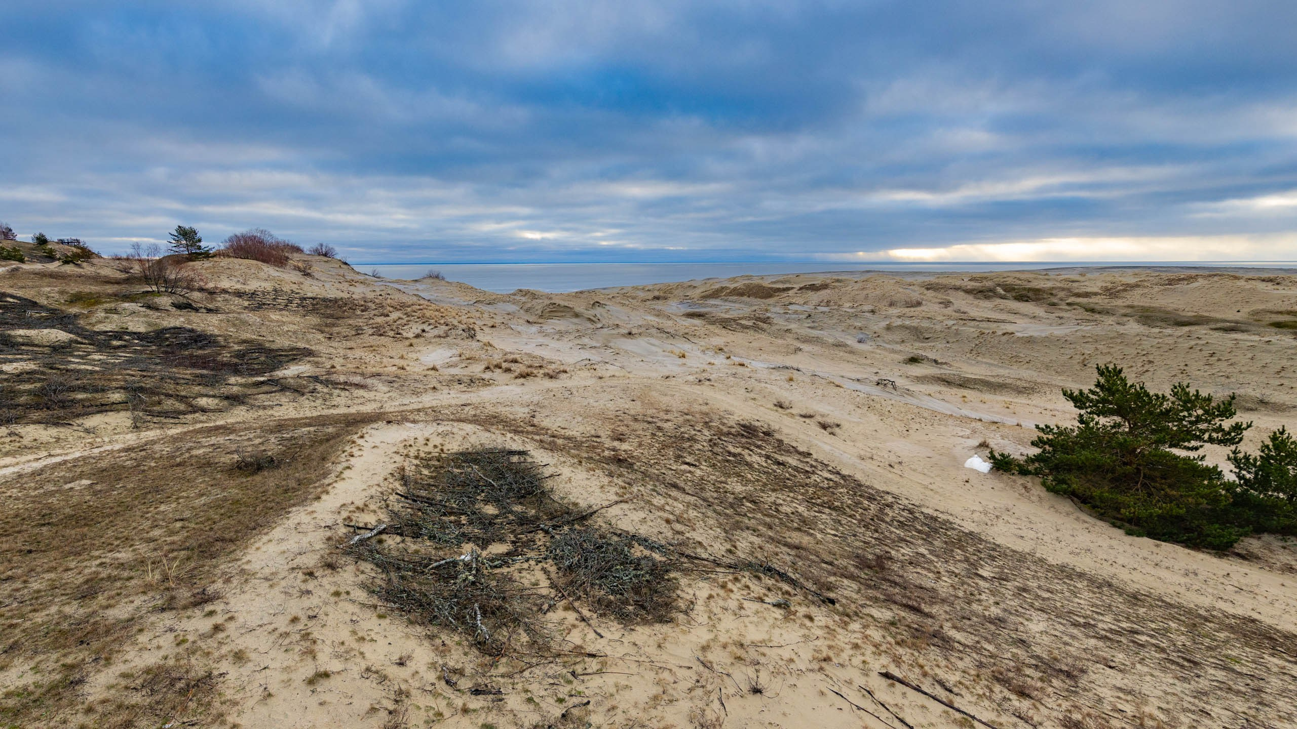 2024 01 Калининград (Светлогорск, Зеленоградск). Фотографии