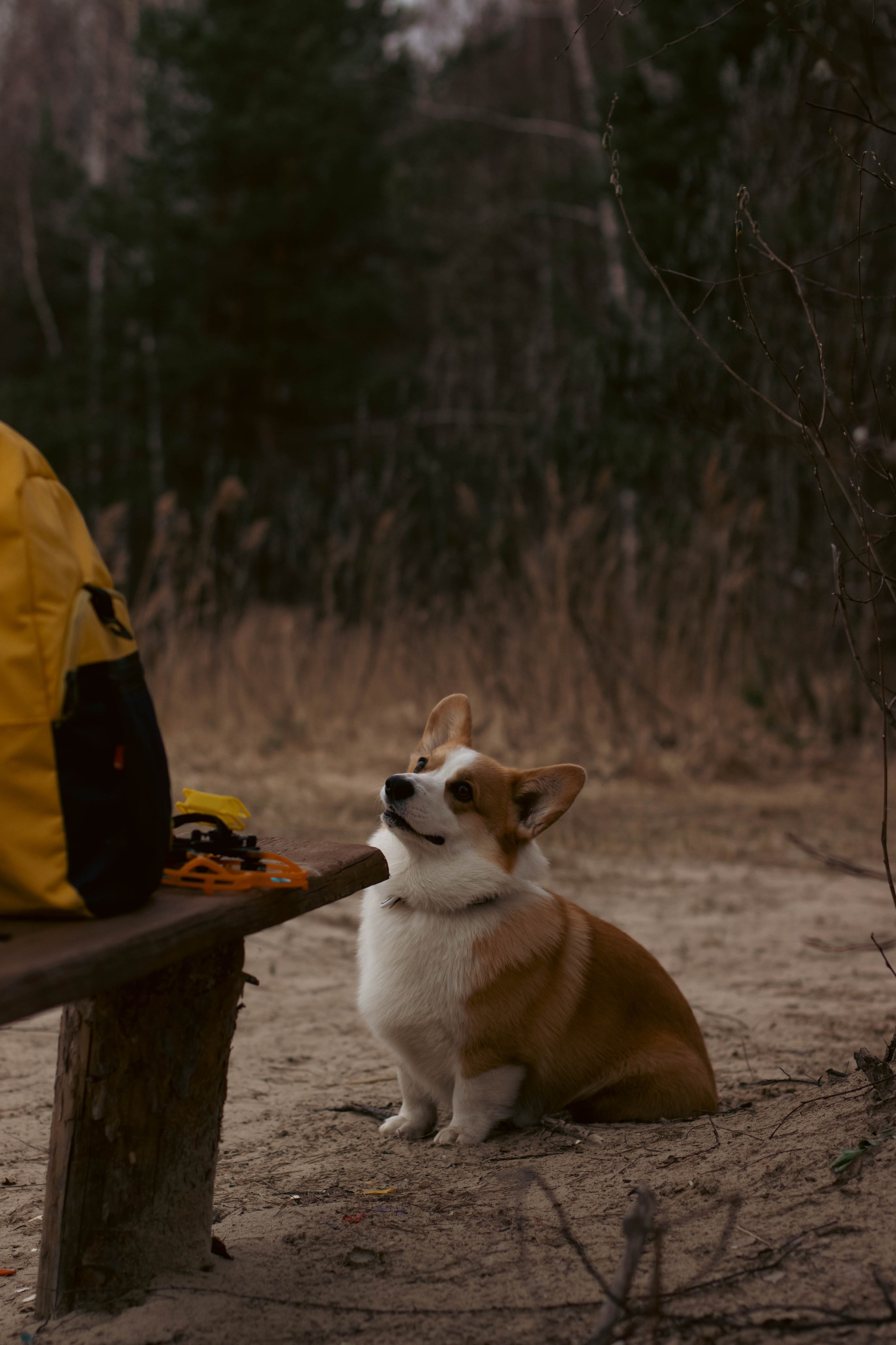 Деймик. Фотограф в Москве Ксюшенька