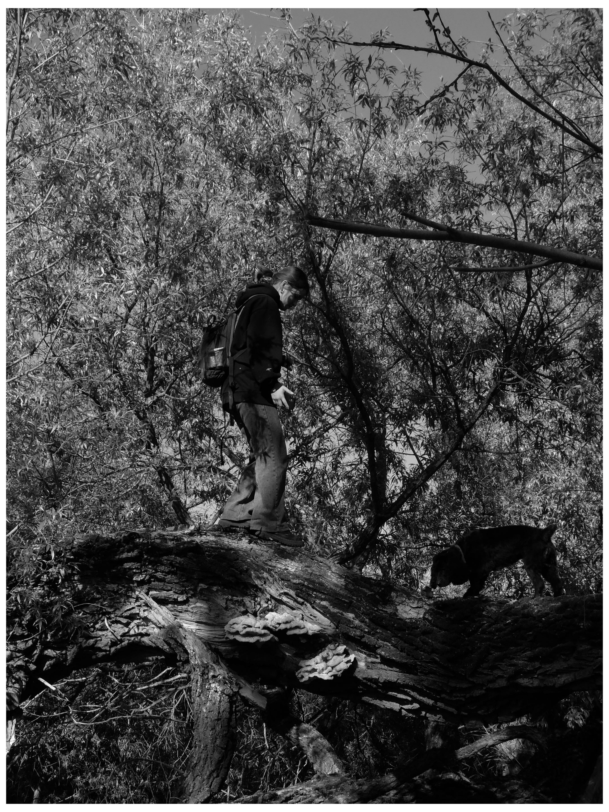 Промежуточные моменты (2022)