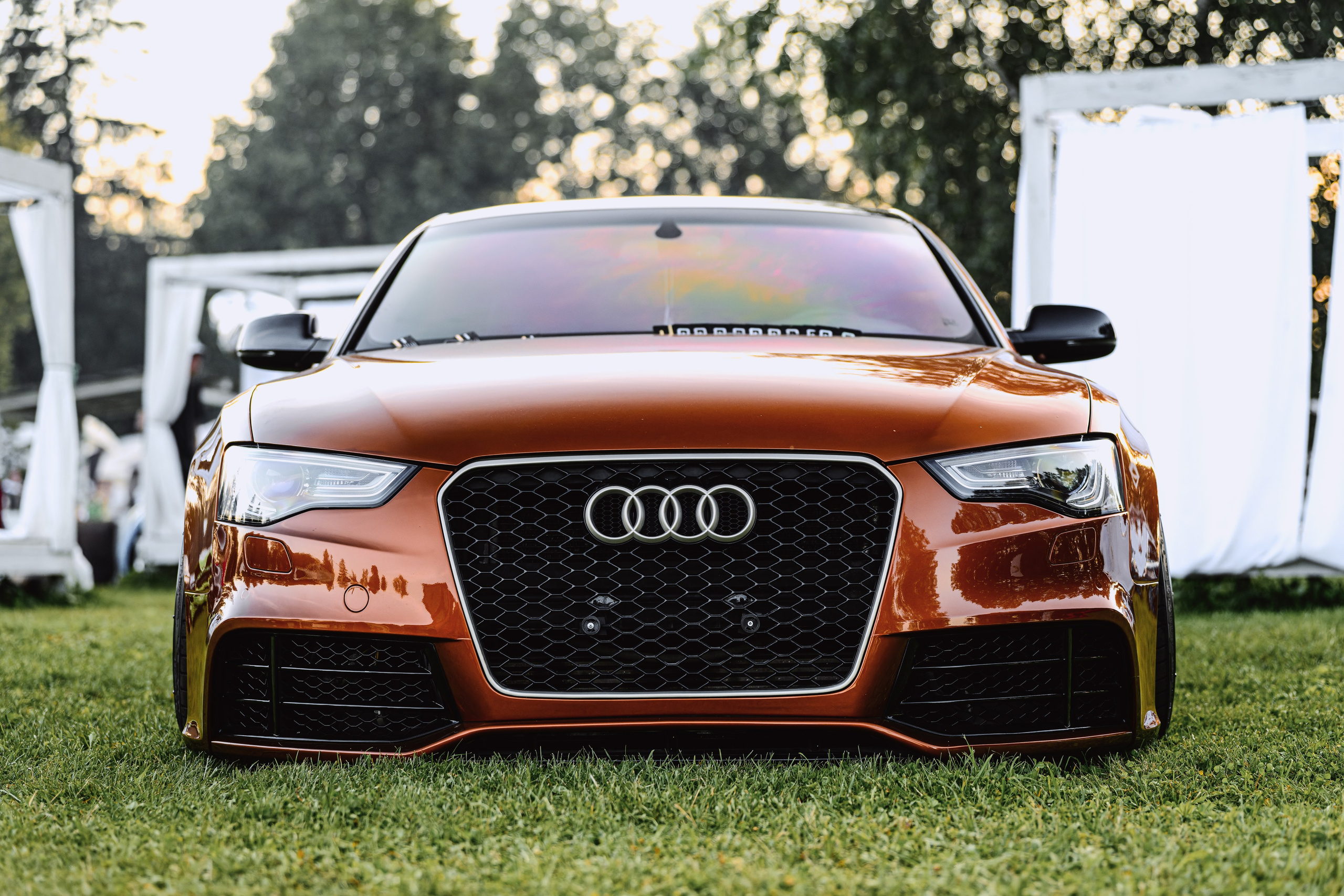 Tuning Open Fest 2025. Авто и мотоспорт — фотограф Антон Медведев iCoguar