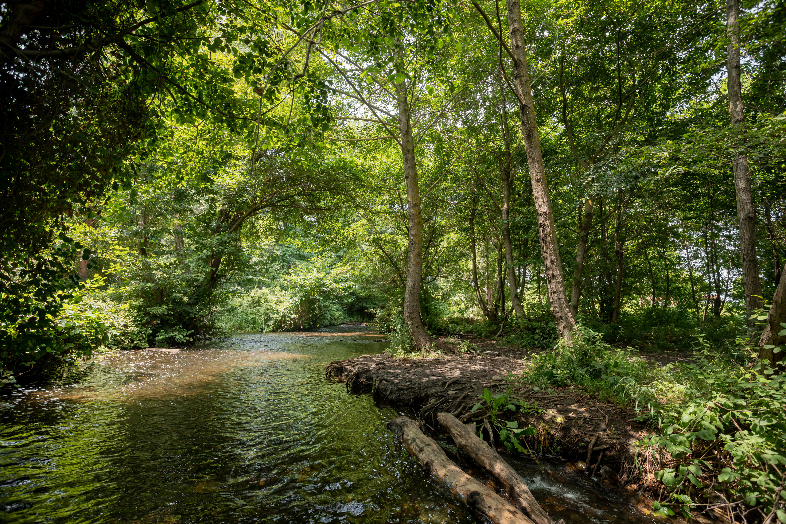 Отзывы о работах фотографа Мария Беккер г.Омск. Мария Беккер - фотограф: свадебный, семейный, детский