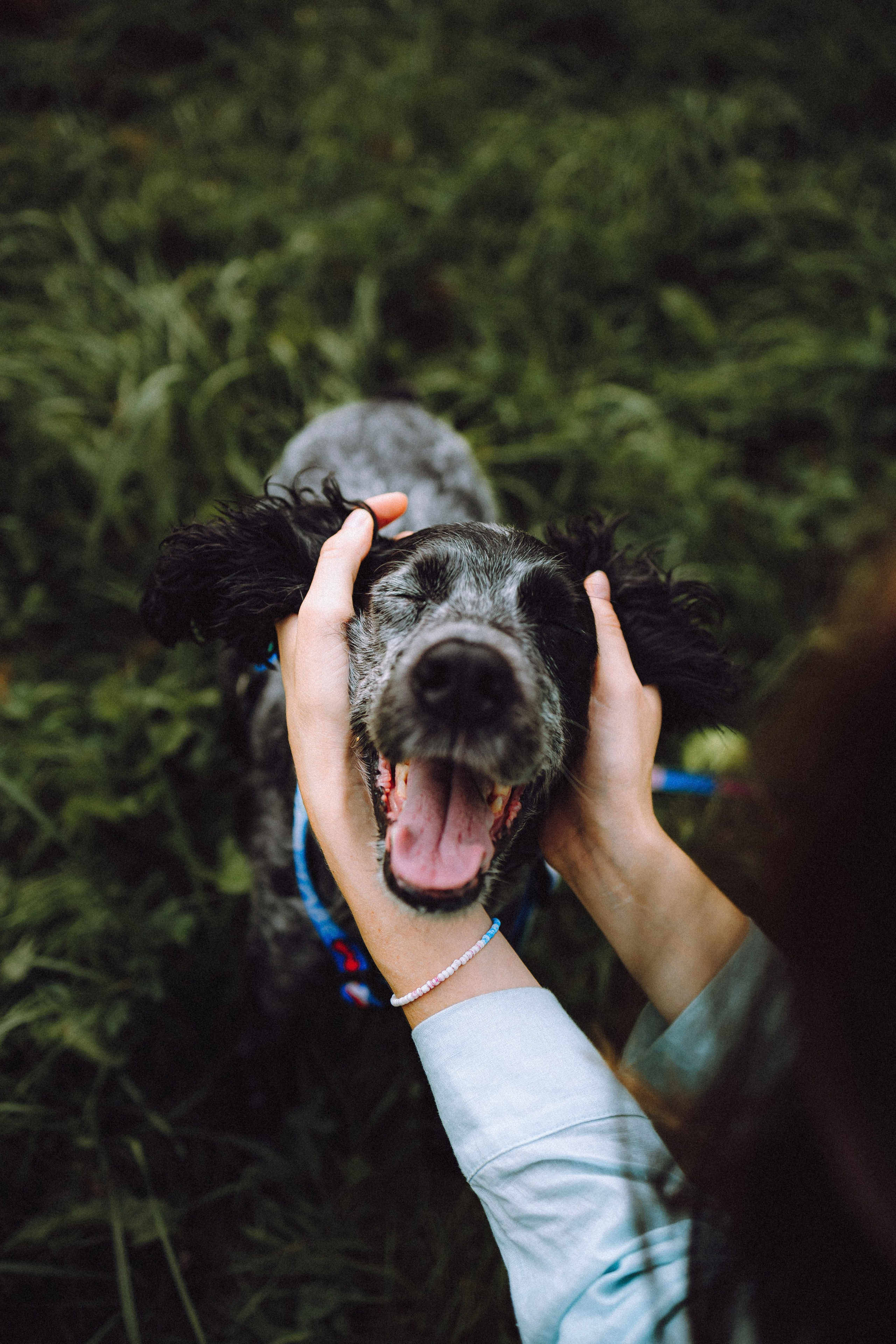 Маша и Ларри