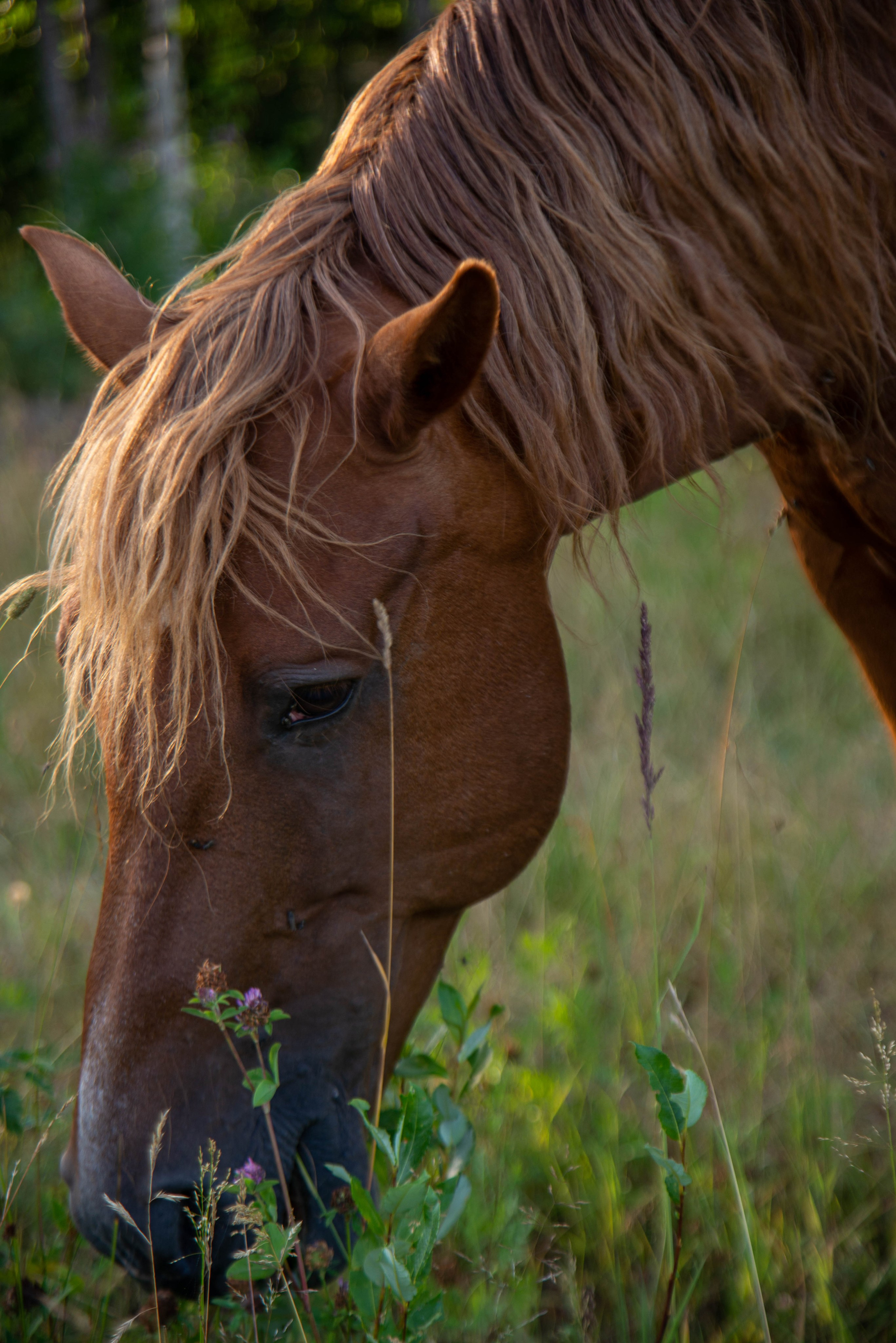 Репортажка. Гупалов Игорь — фотограф