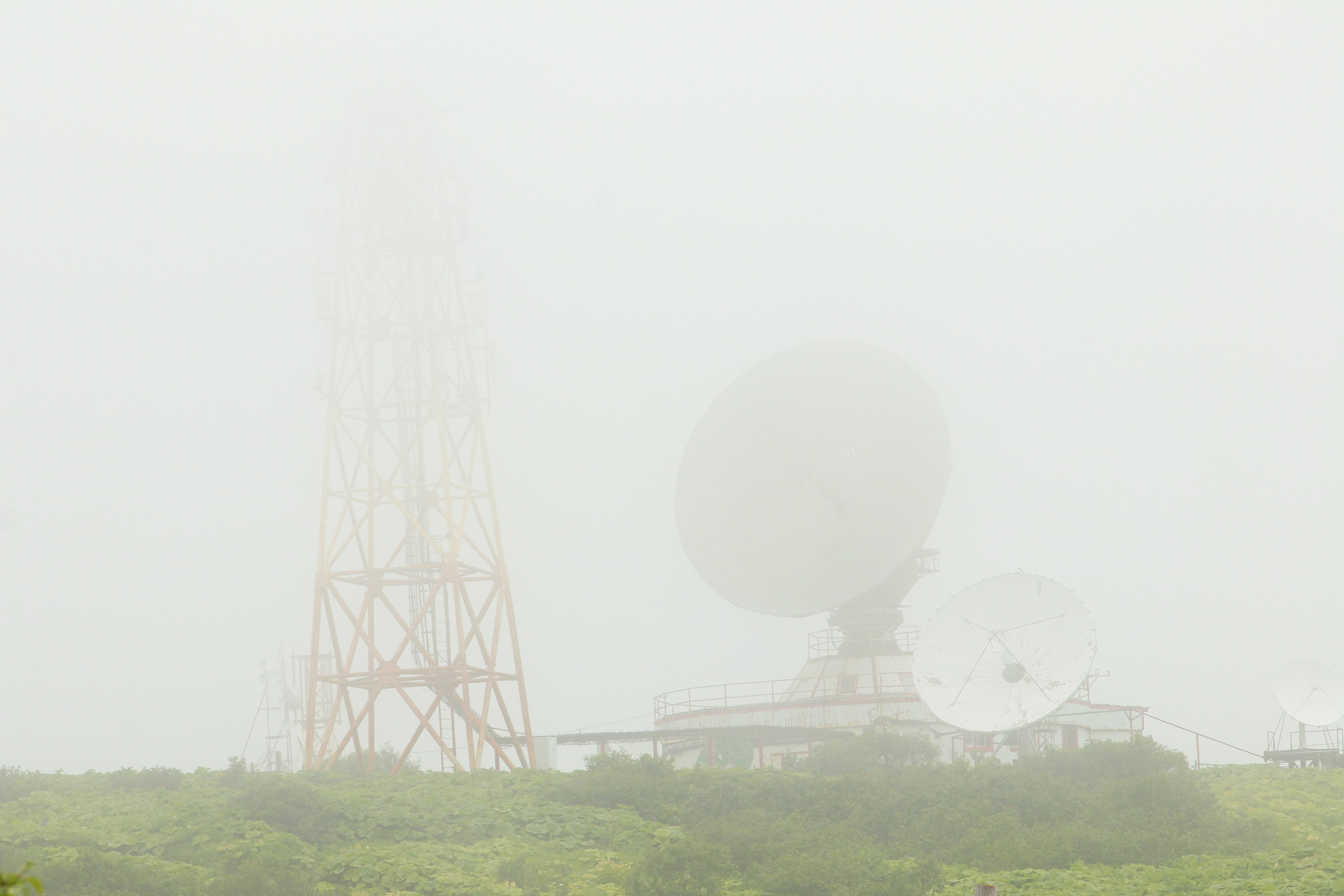 Камчатка и о. Парамушир. Июль 2024. Путешественник-фотограф из Санкт-Петербурга Татьяна Свистулина