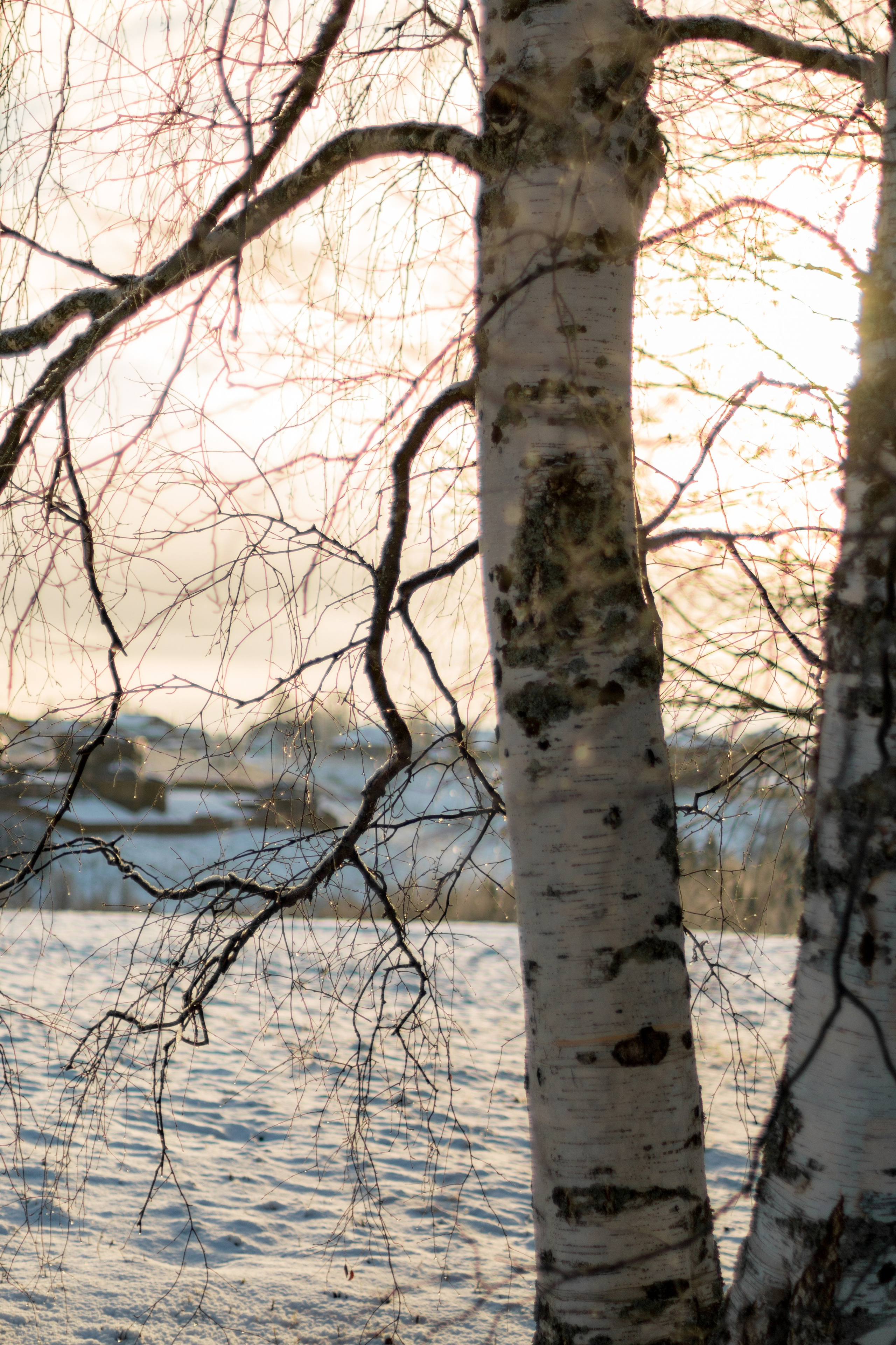 Русский Север, Малые карелы. Фотограф в Сочи