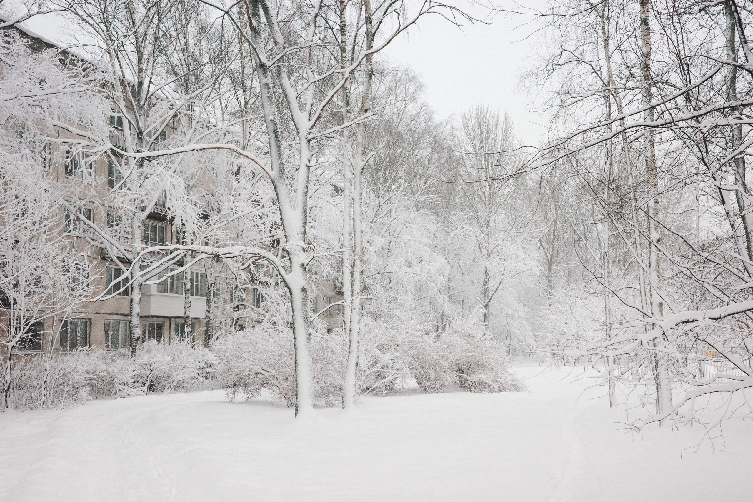 2025.01. Фотограф Алексей Алексеев